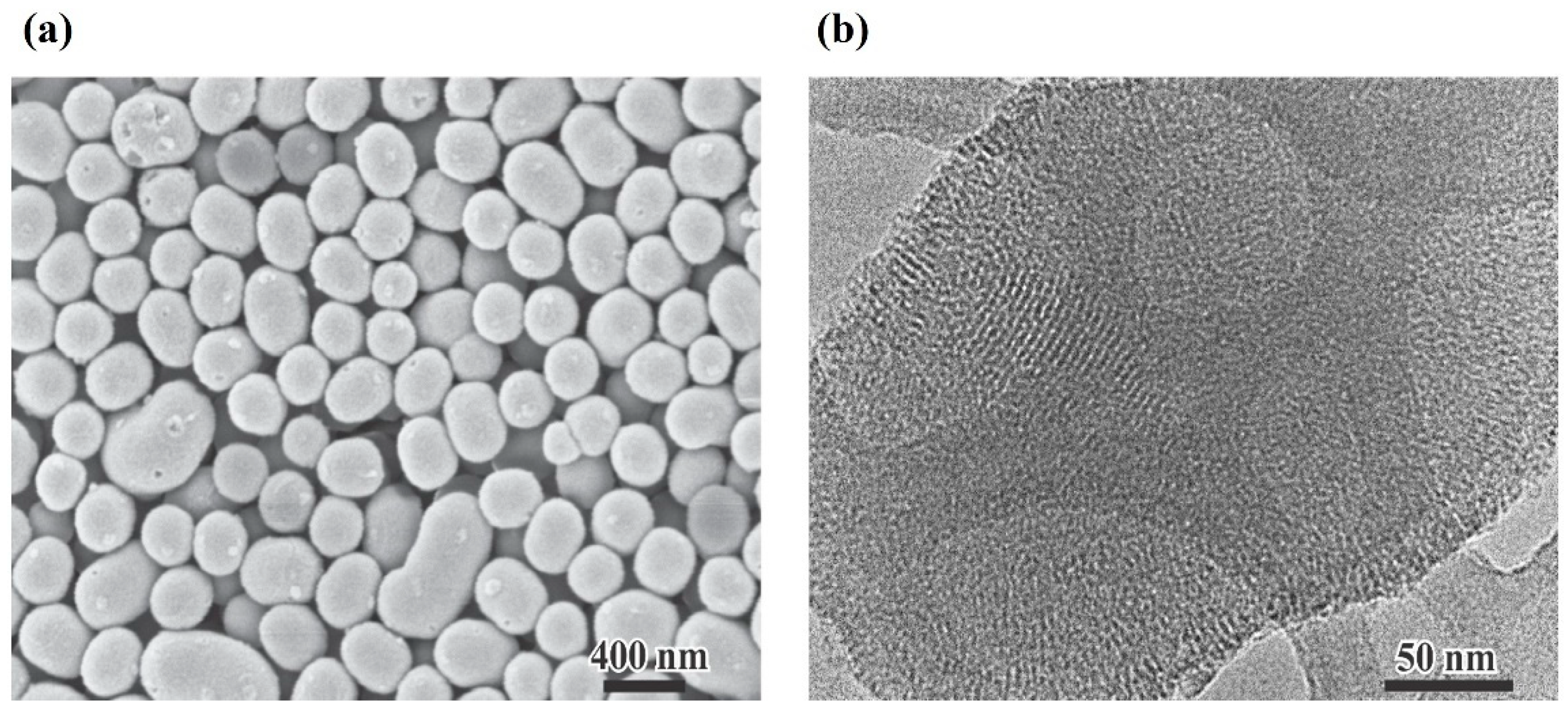 Pharmaceutics 17 01335 g001 Pharmaceutics 17 01335 g001
