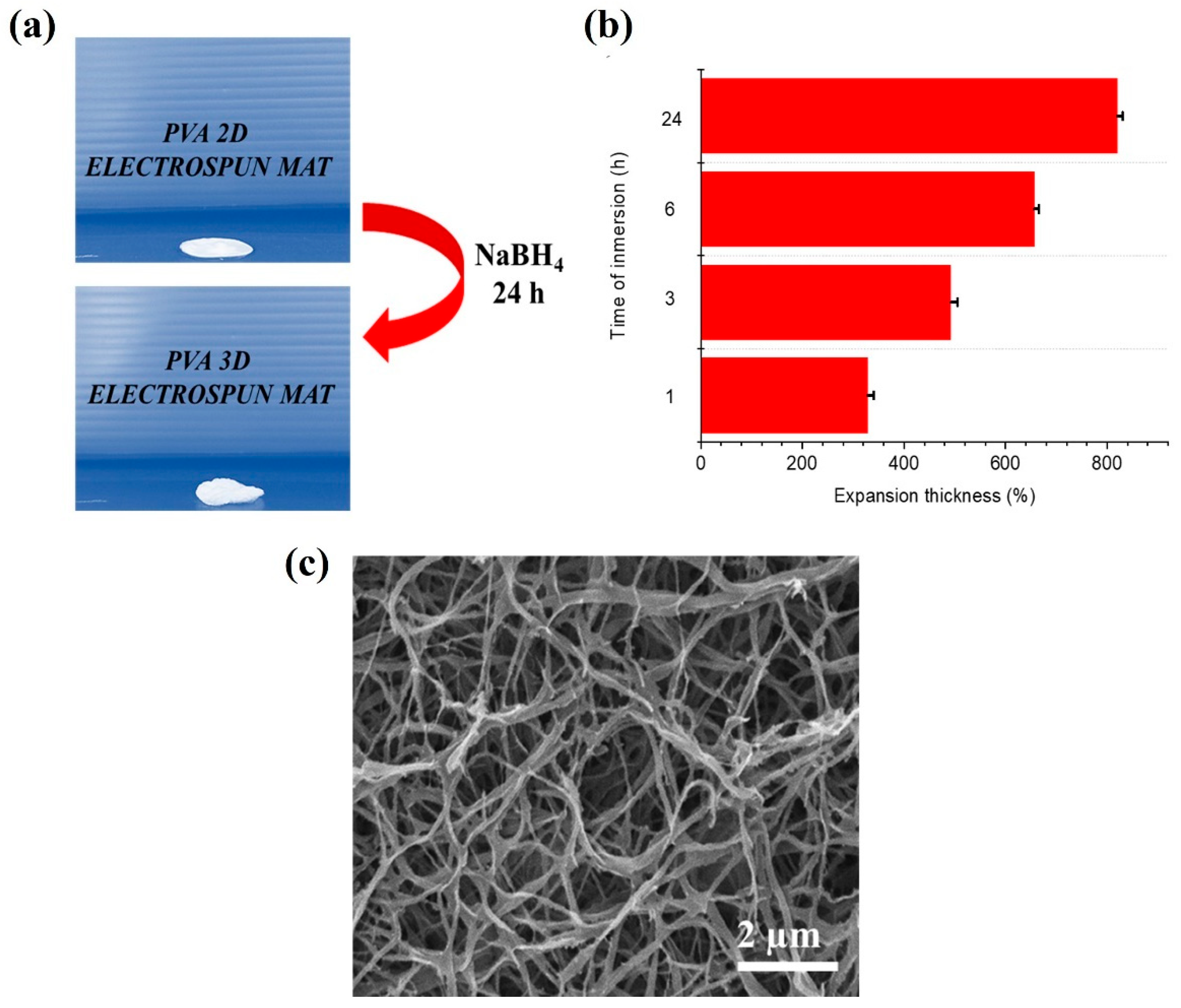 Pharmaceutics 17 01335 g006 Pharmaceutics 17 01335 g006