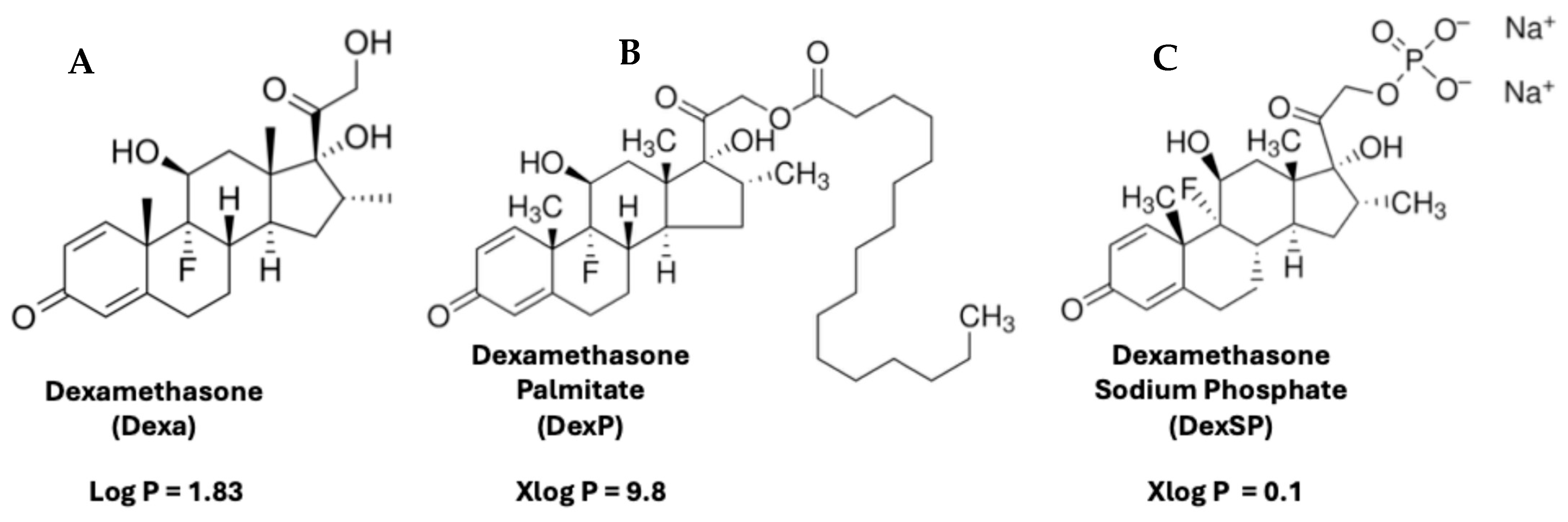 Pharmaceutics 17 01337 g001