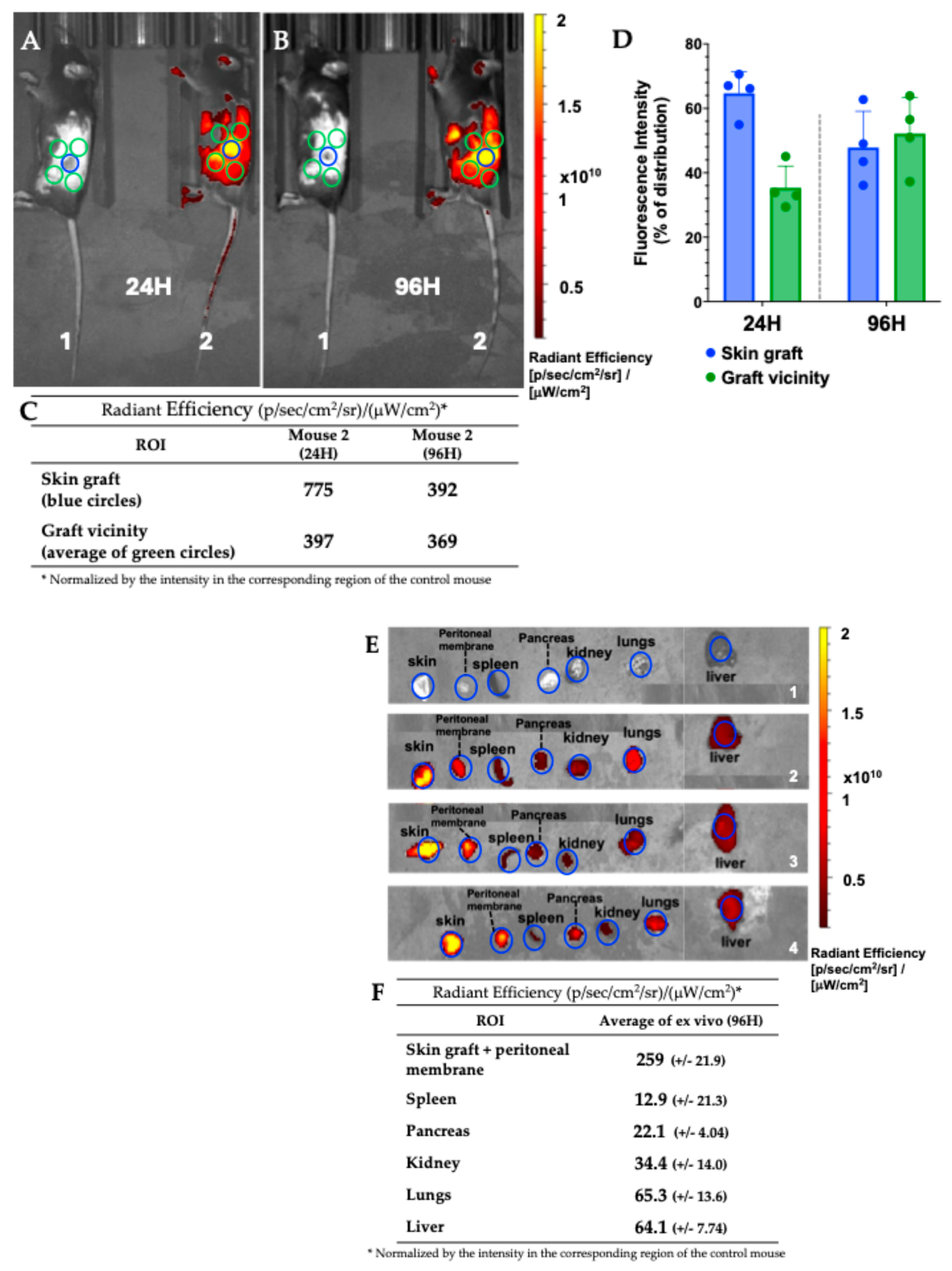 Pharmaceutics 17 01337 g008