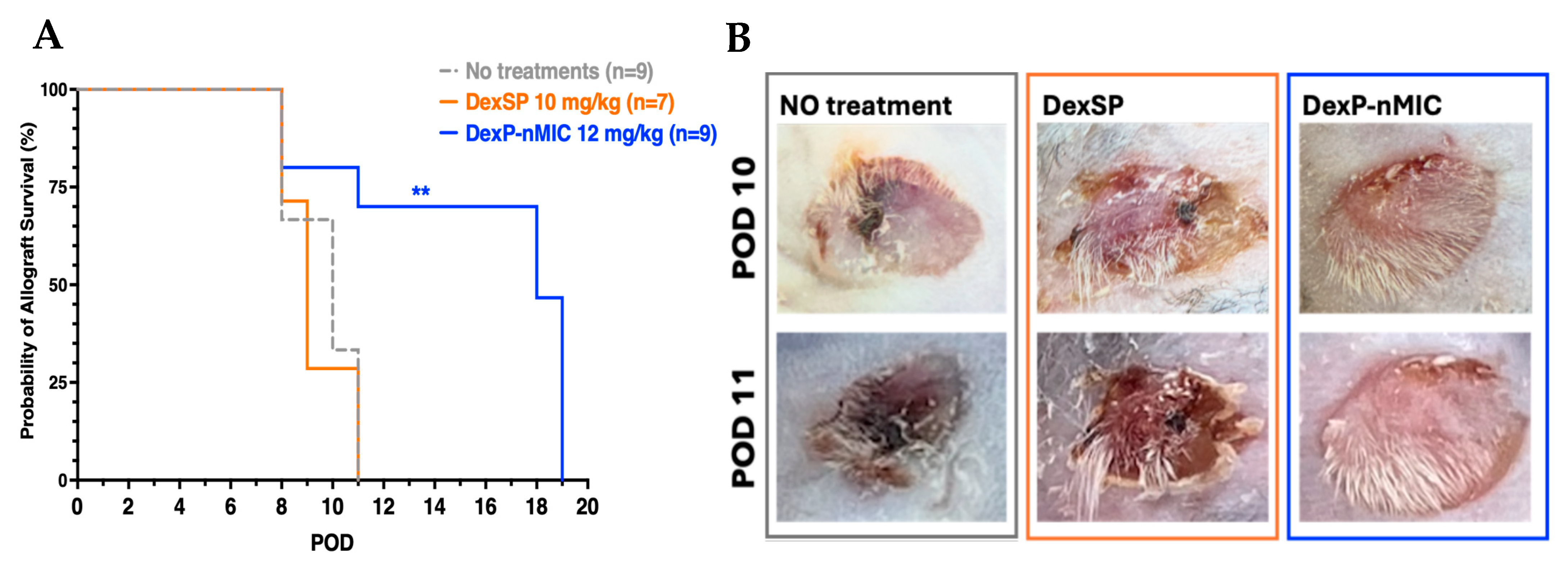 Pharmaceutics 17 01337 g009