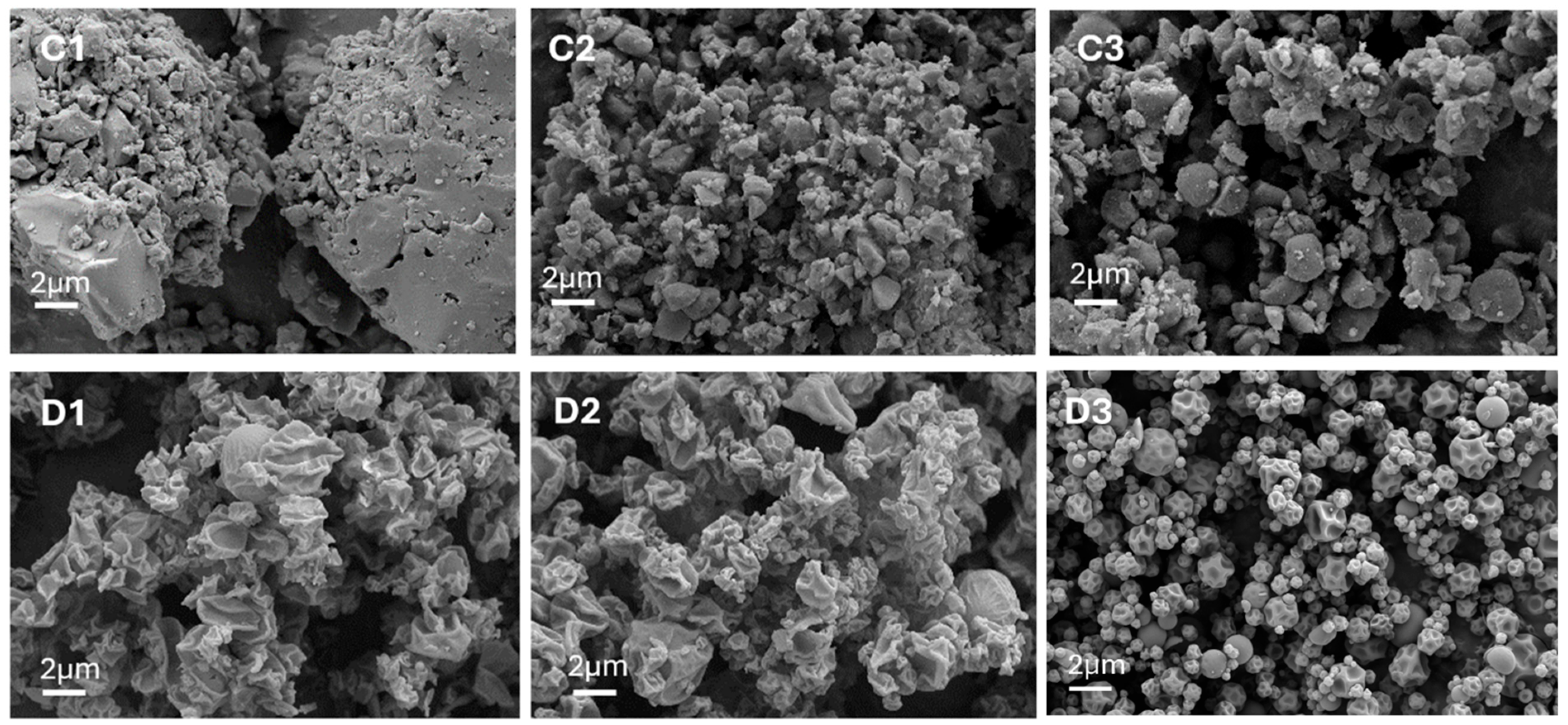 Pharmaceutics 17 01339 g006