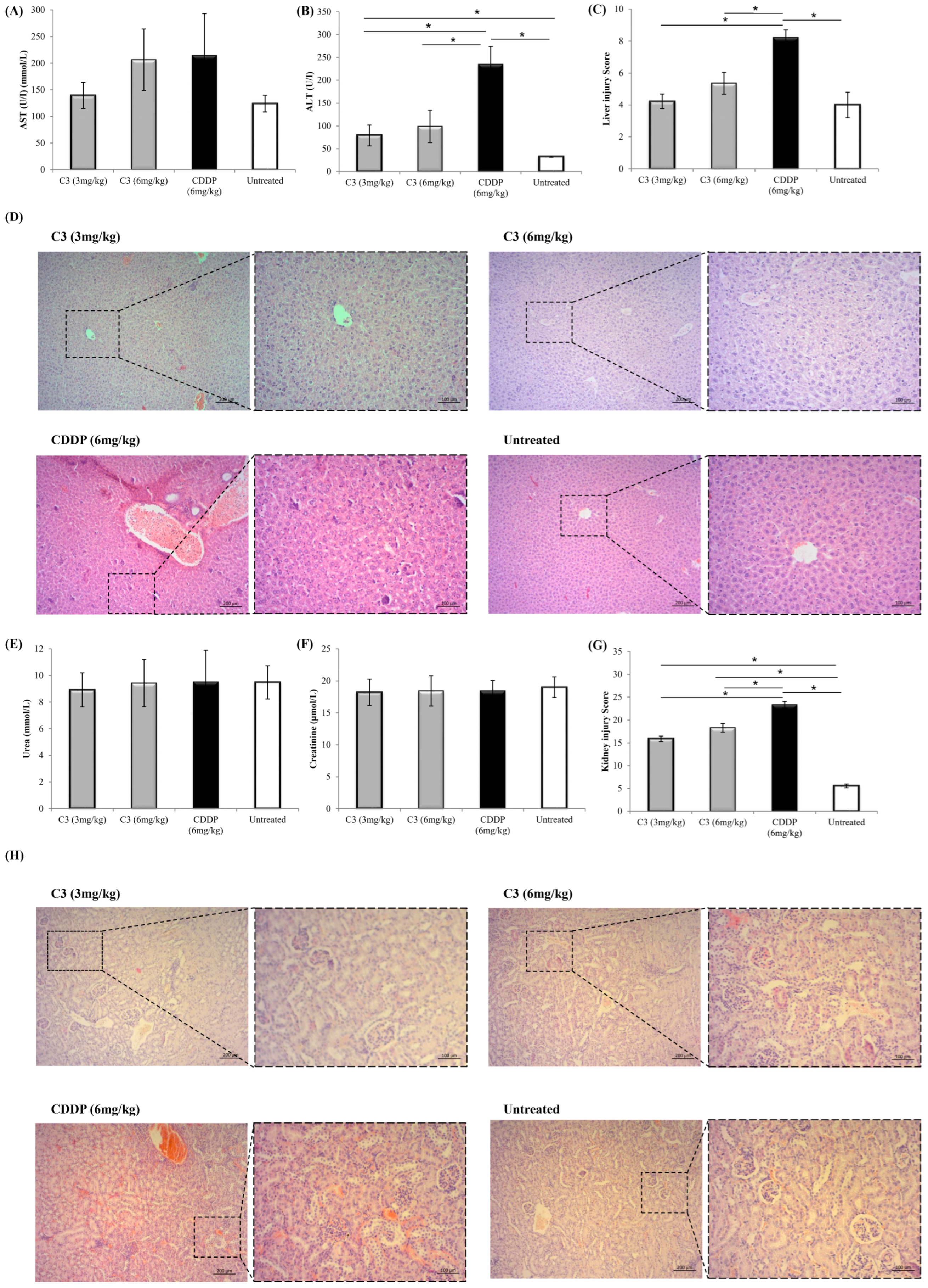 Pharmaceutics 17 01340 g007