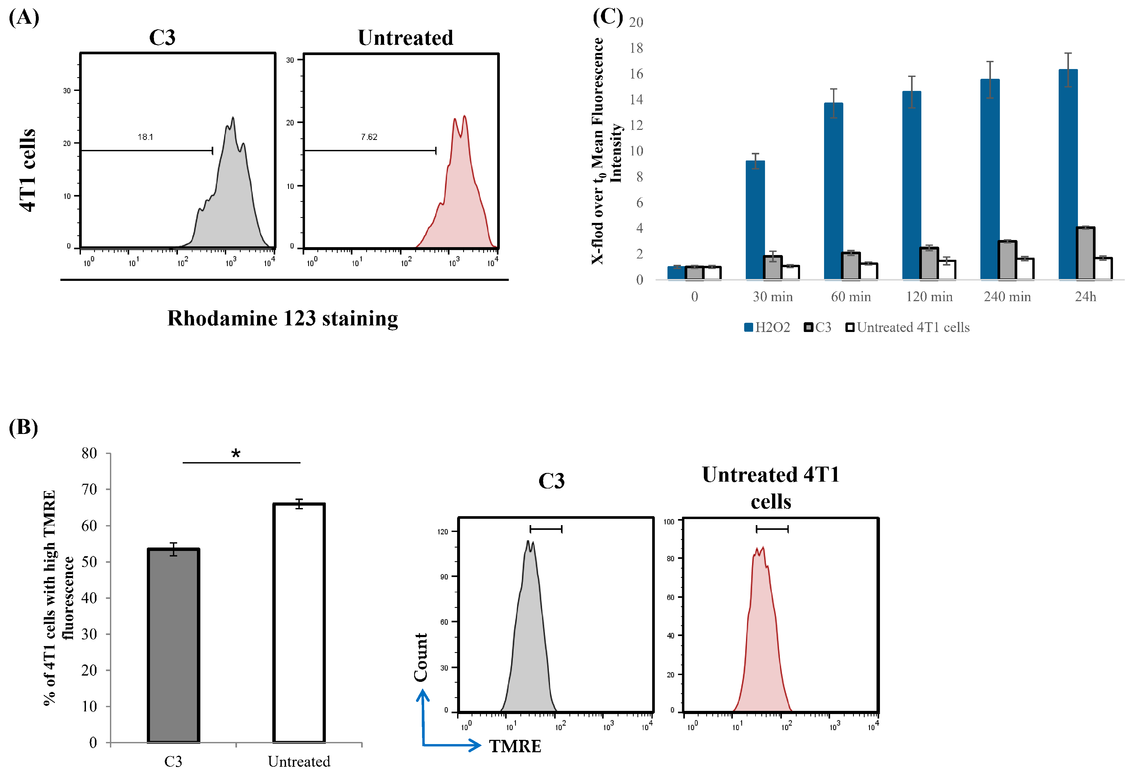 Pharmaceutics 17 01340 g009