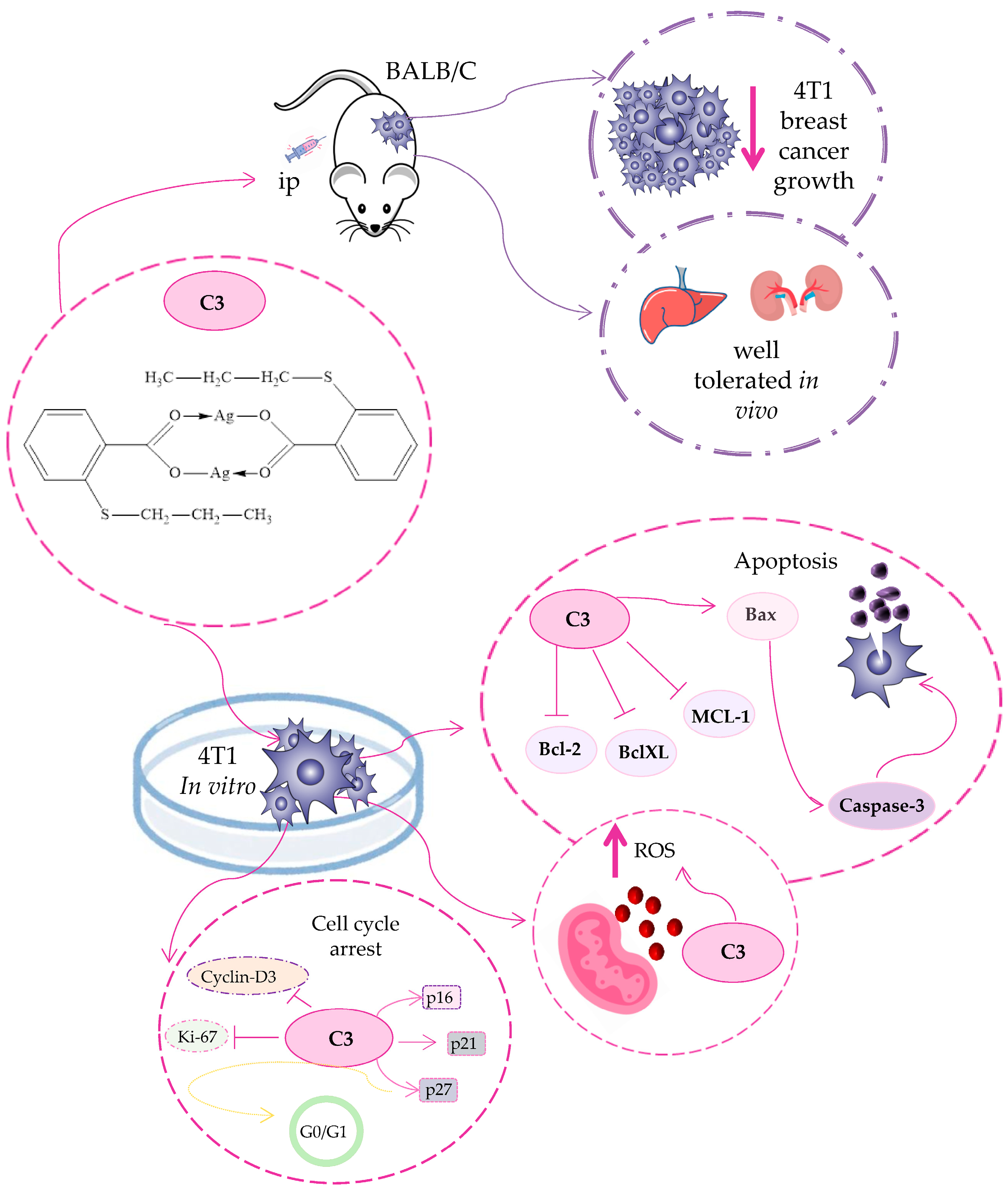 Pharmaceutics 17 01340 g011