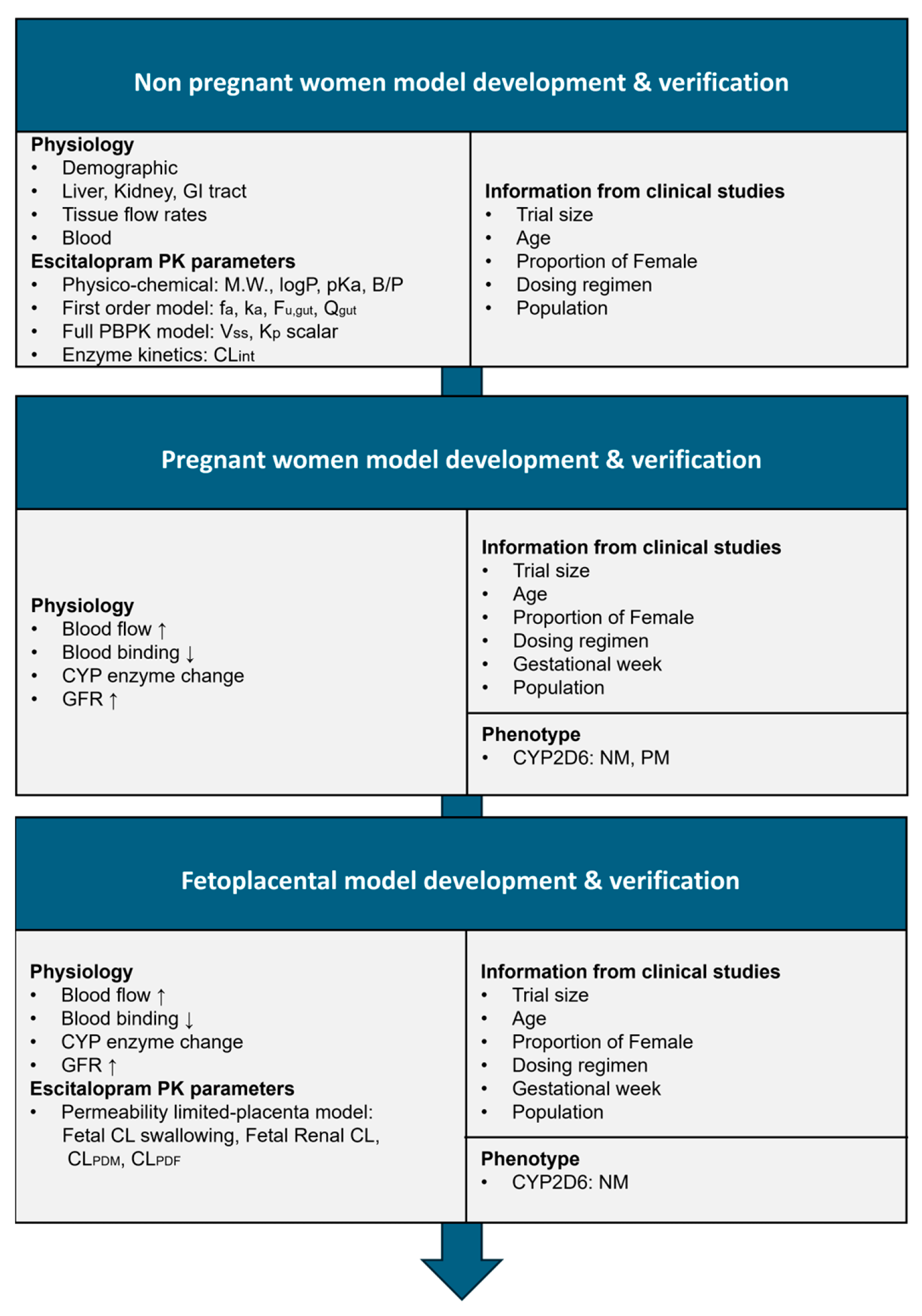 Pharmaceutics 17 01341 g001