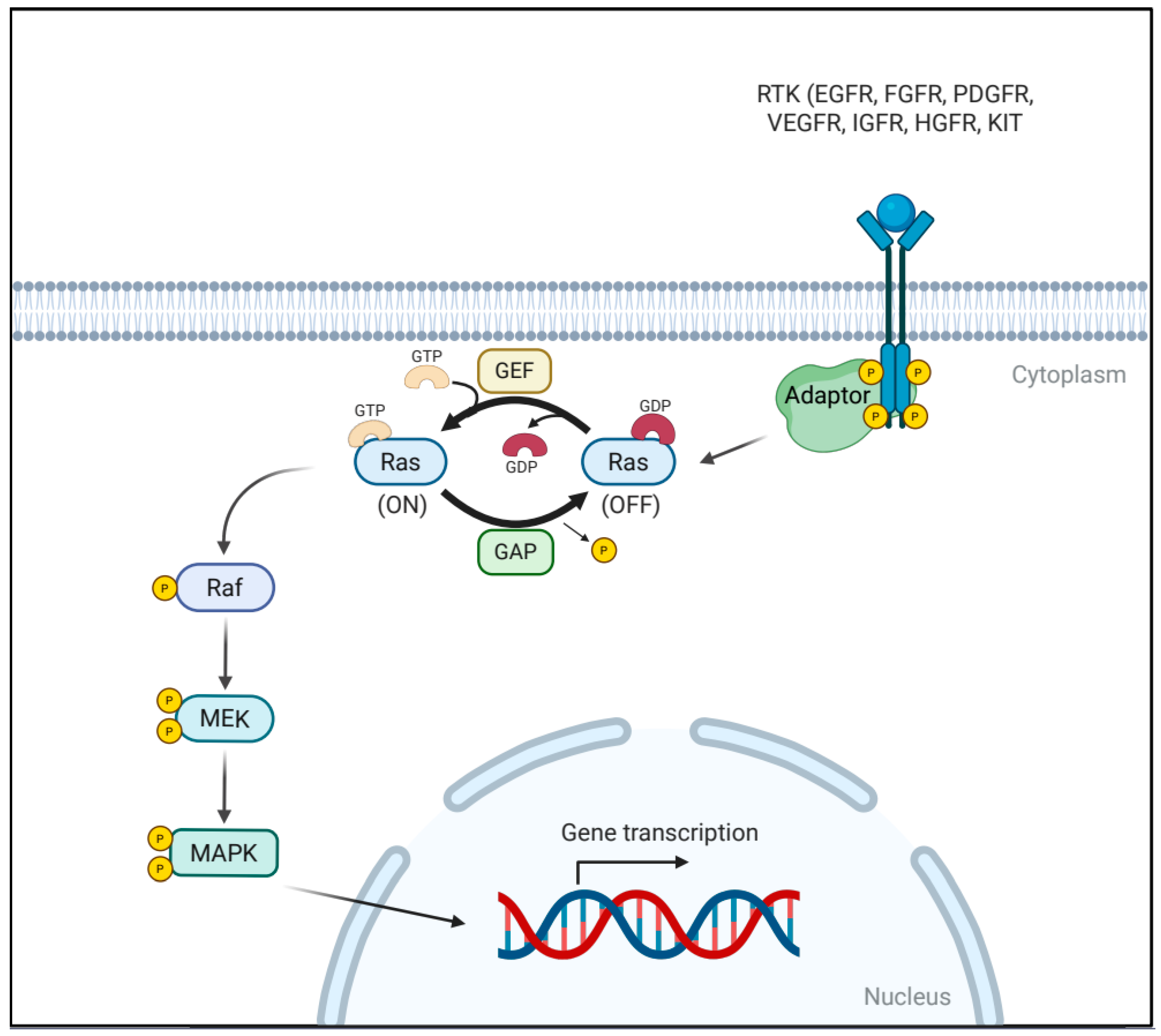 Pharmaceutics 17 01348 g001