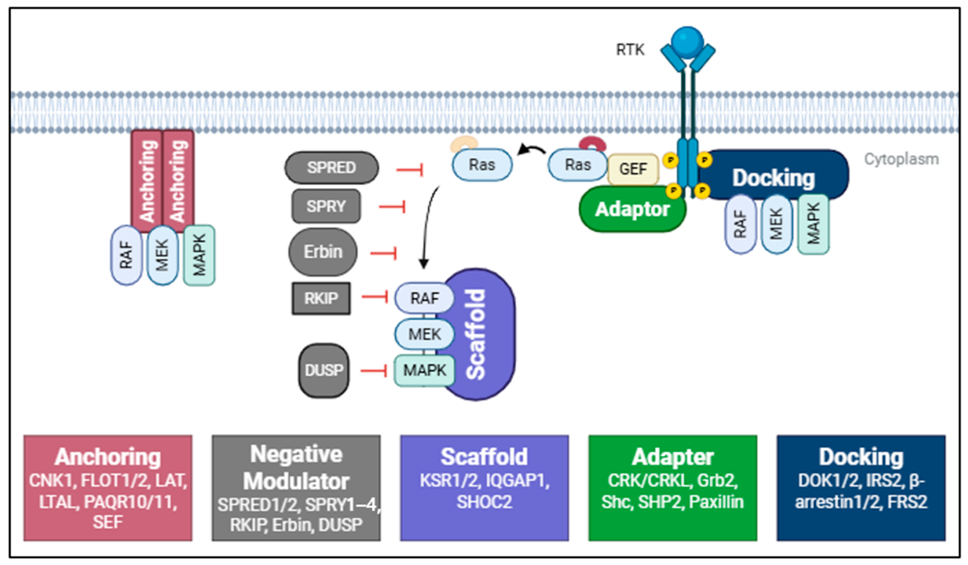 Pharmaceutics 17 01348 g002
