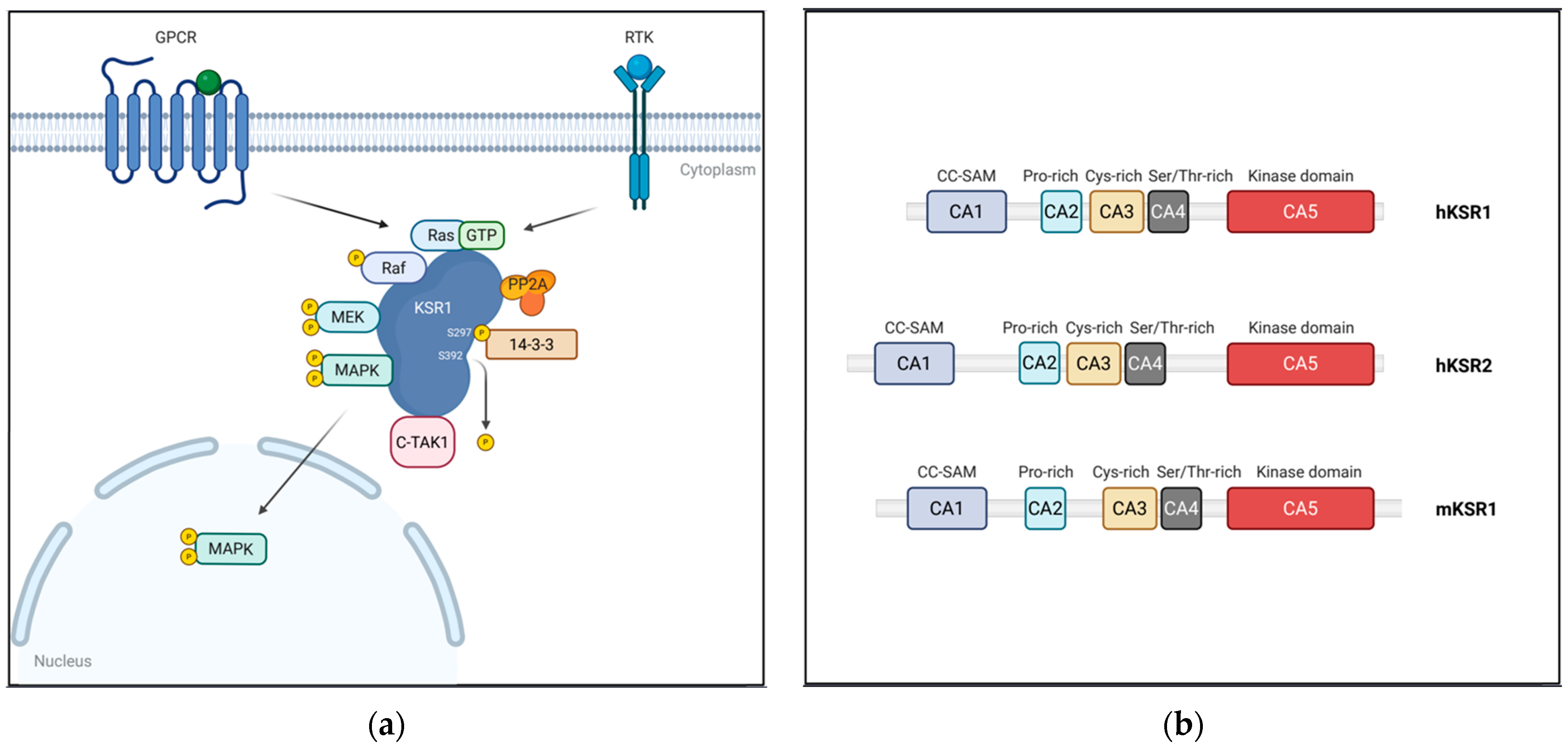 Pharmaceutics 17 01348 g003