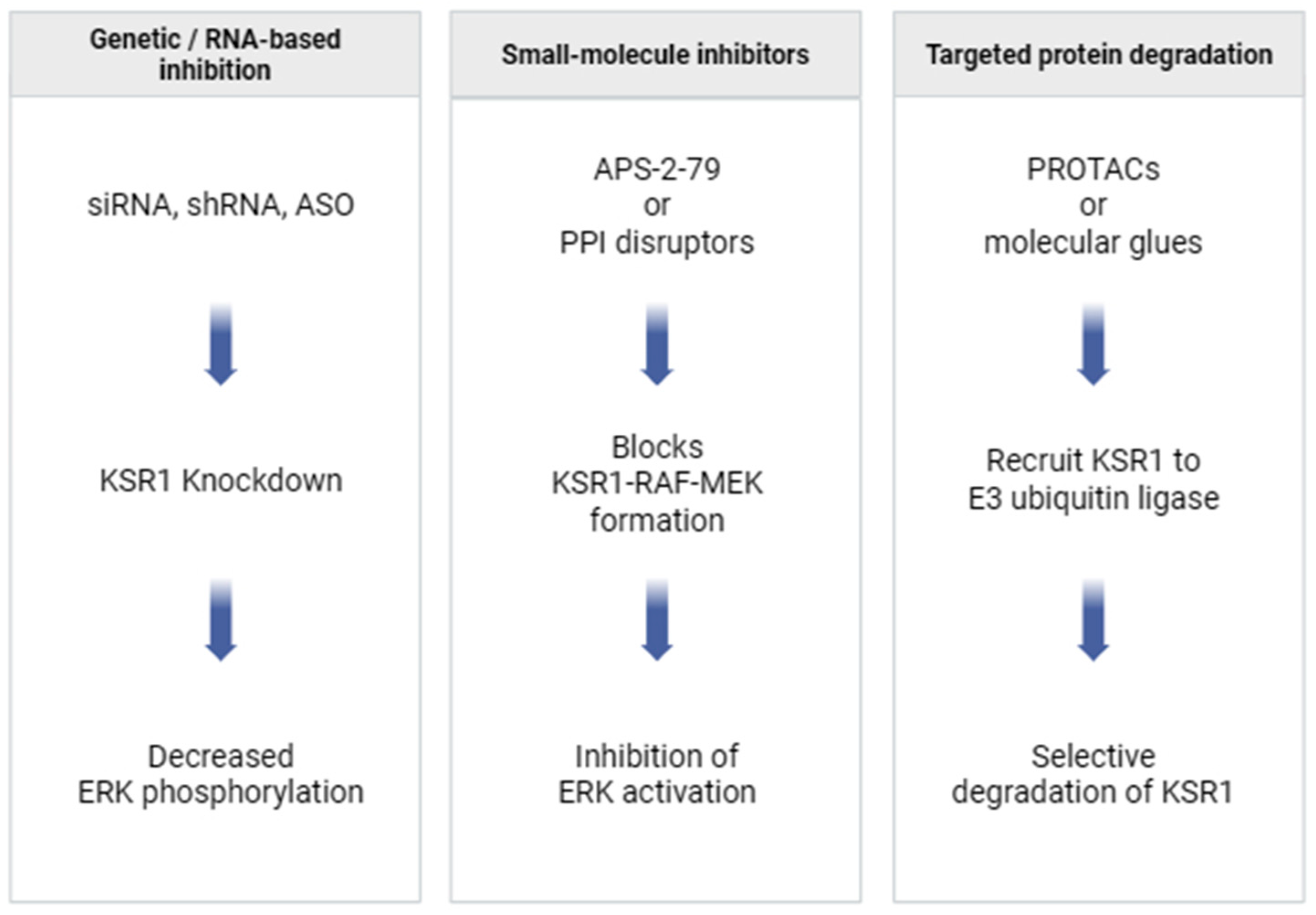 Pharmaceutics 17 01348 g005