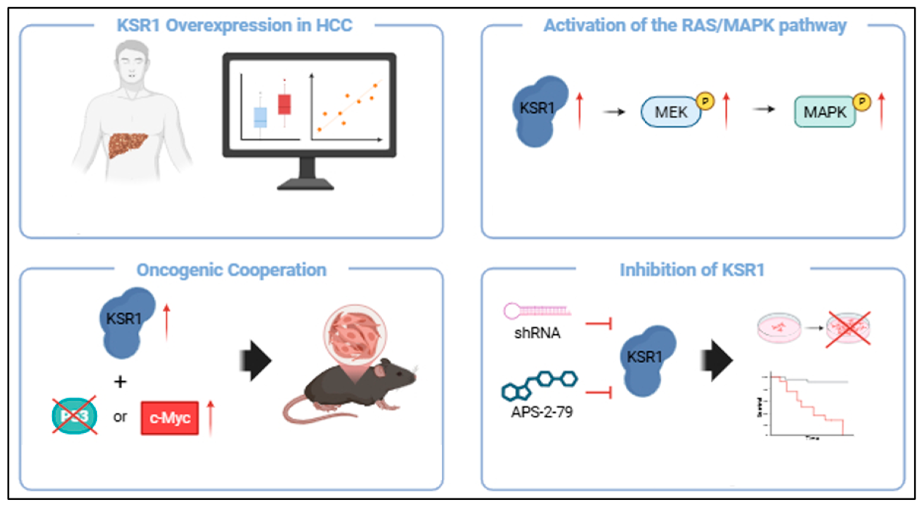 Pharmaceutics 17 01348 g006