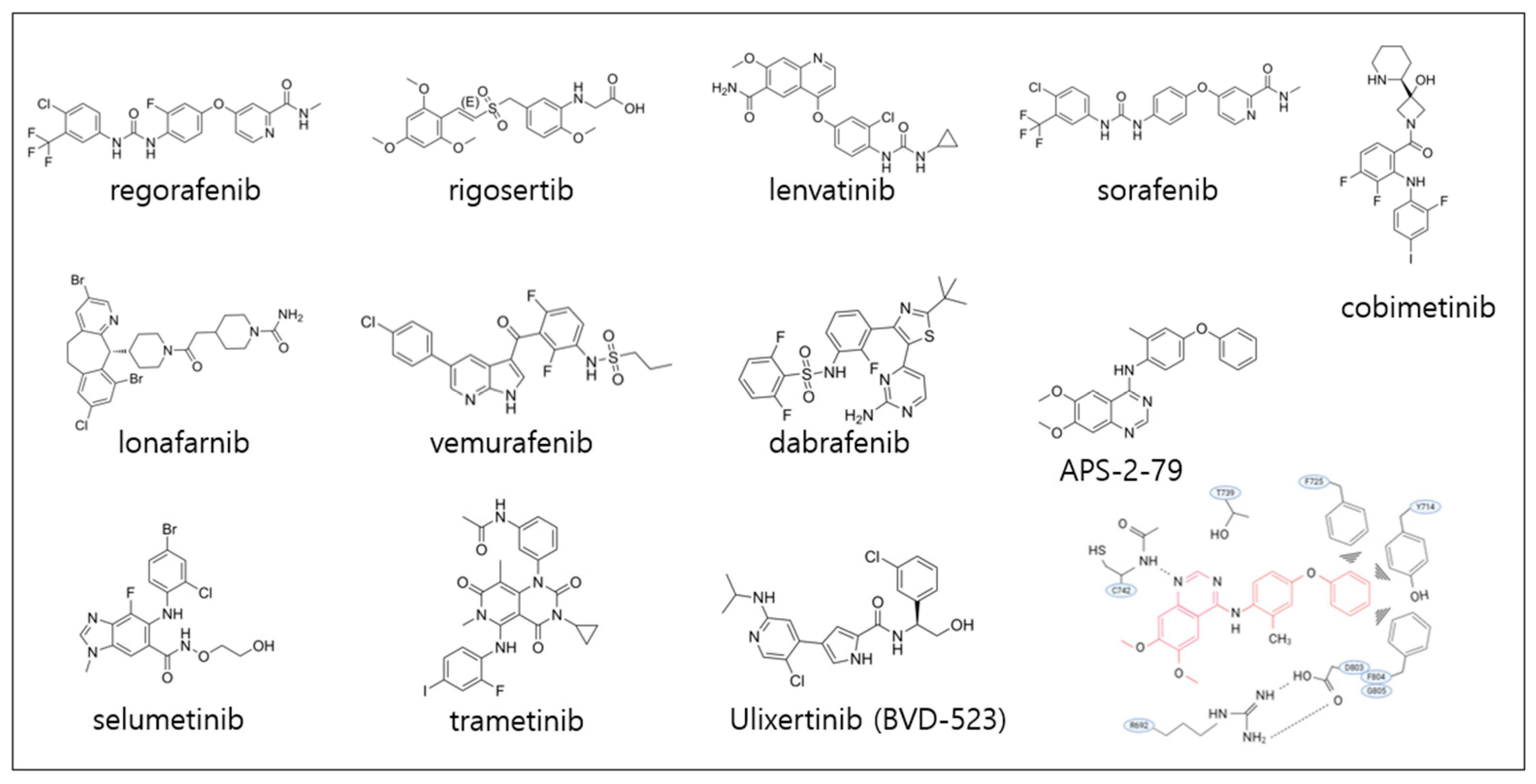 Pharmaceutics 17 01348 g007