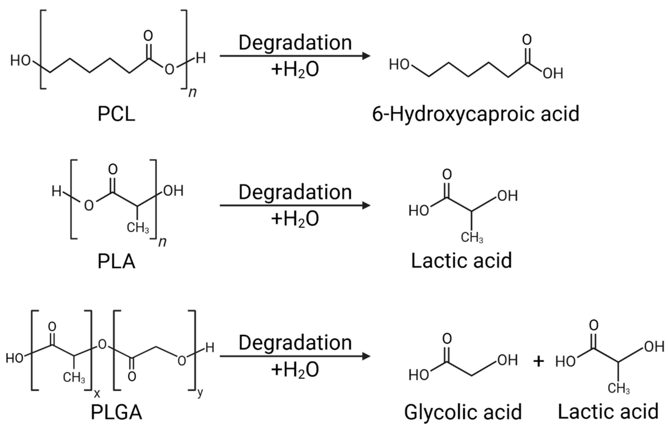 Pharmaceutics 17 01354 g002