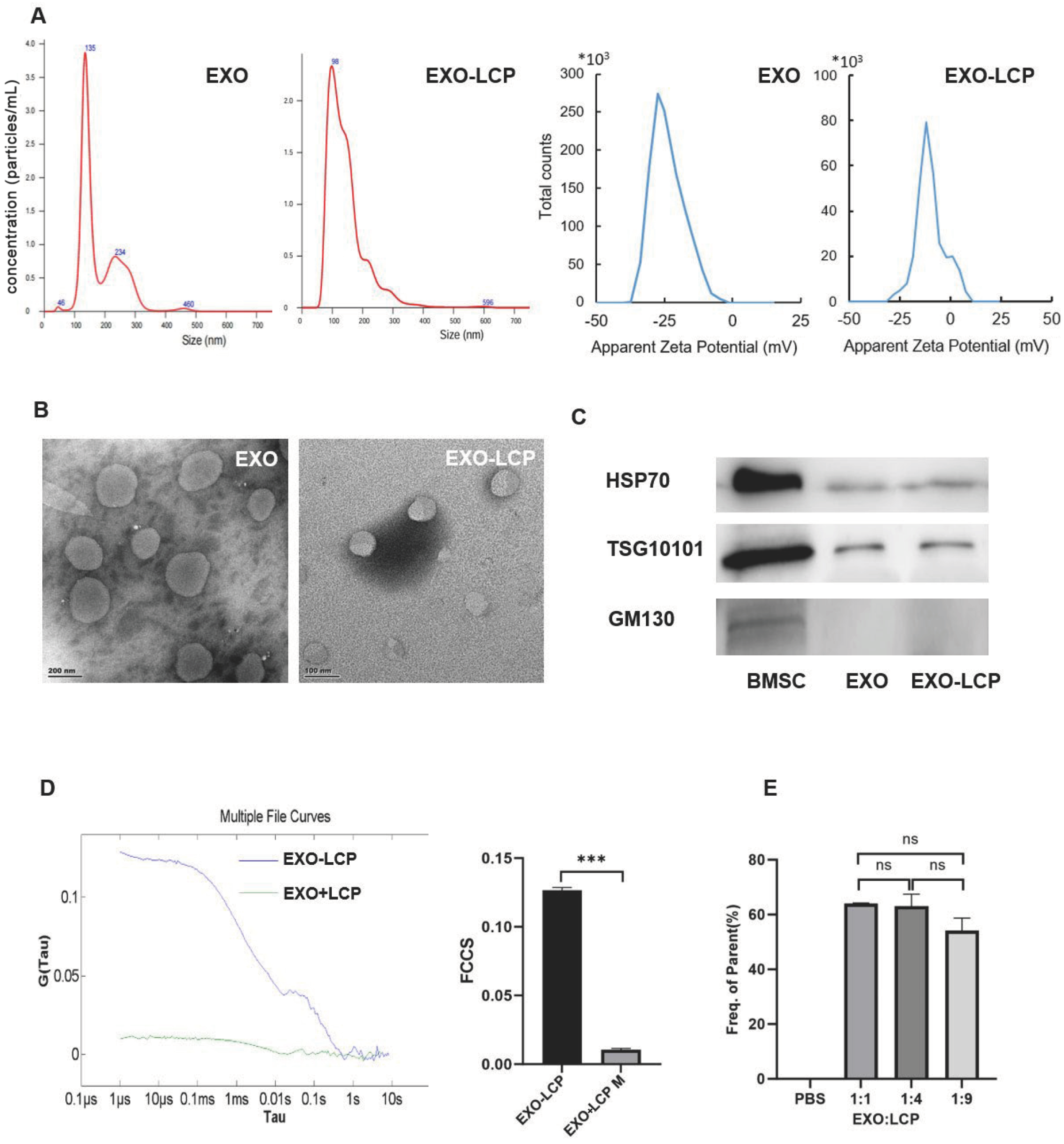 Pharmaceutics 17 01357 g001 Pharmaceutics 17 01357 g001