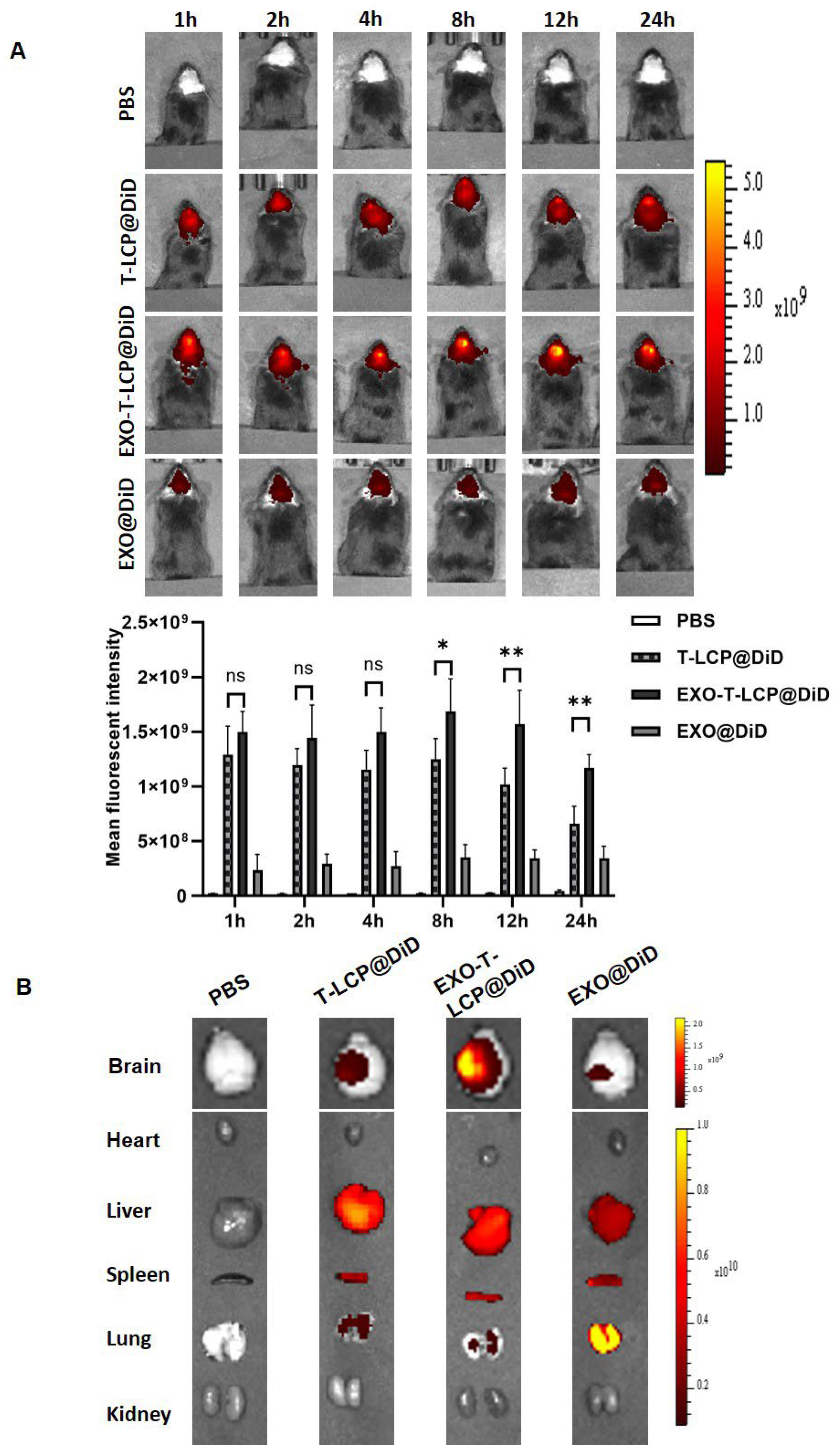 Pharmaceutics 17 01357 g005 Pharmaceutics 17 01357 g005