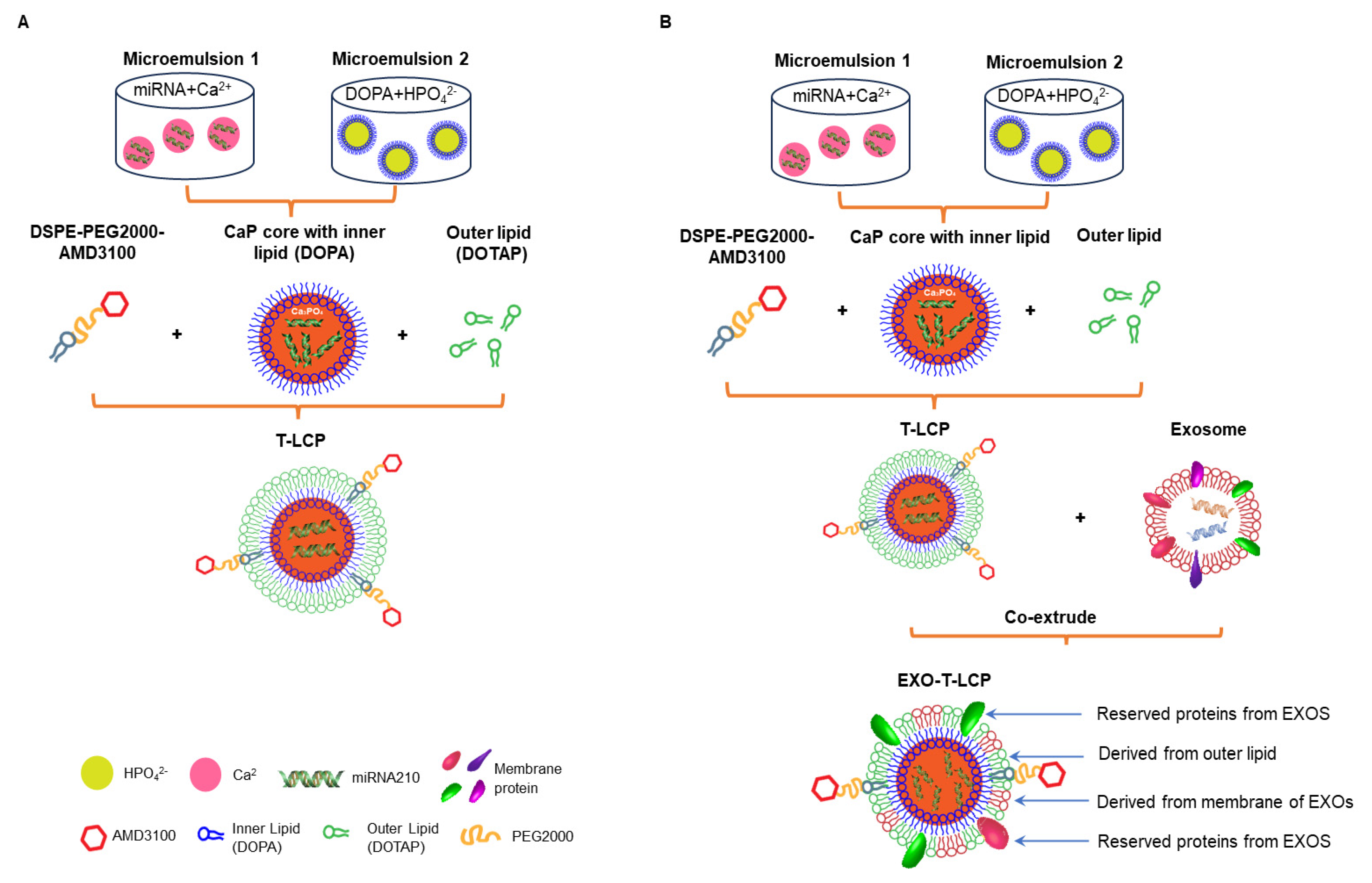 Pharmaceutics 17 01357 sch001 Pharmaceutics 17 01357 sch001