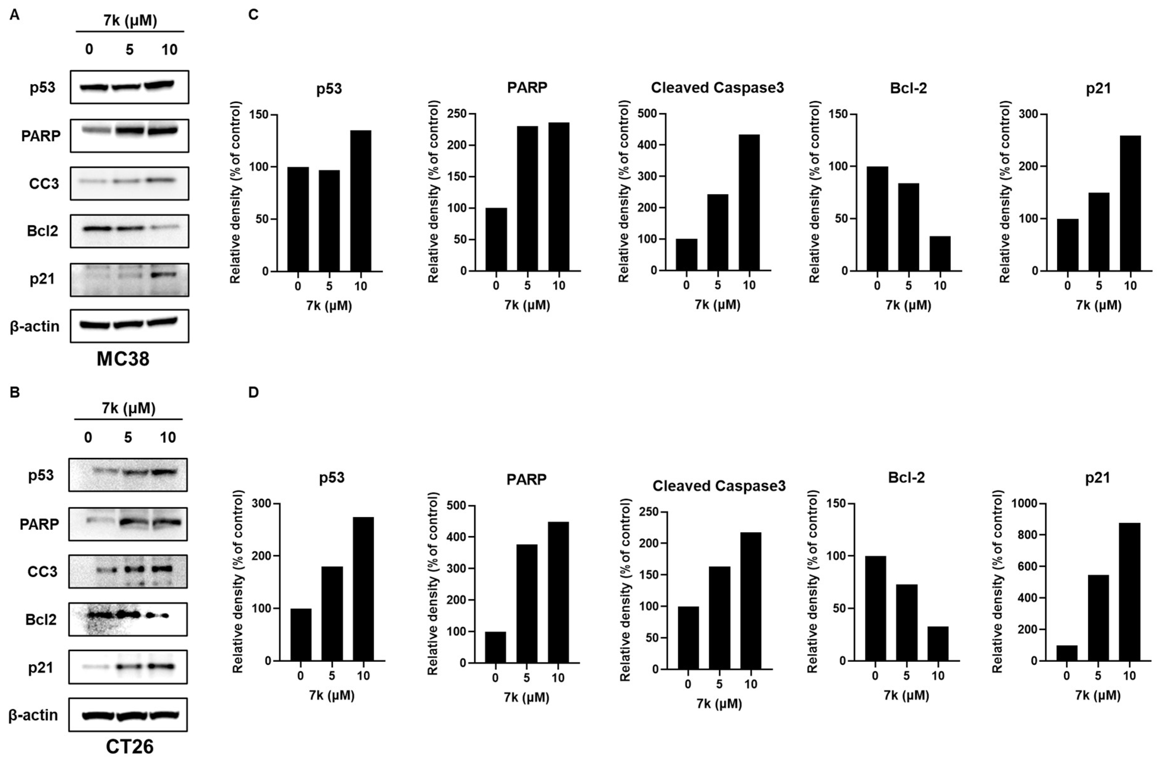 Pharmaceutics 17 01359 g007 Pharmaceutics 17 01359 g007