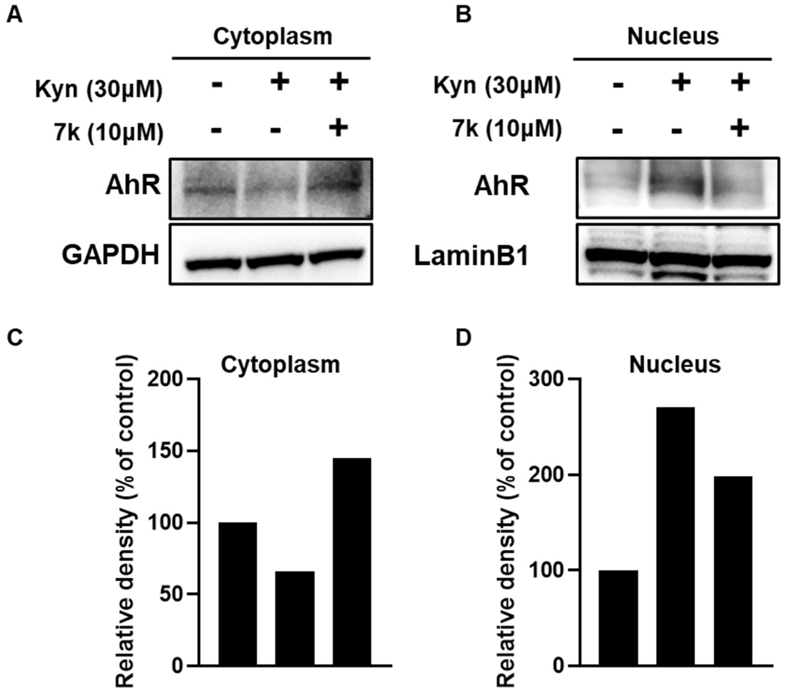Pharmaceutics 17 01359 g009 Pharmaceutics 17 01359 g009