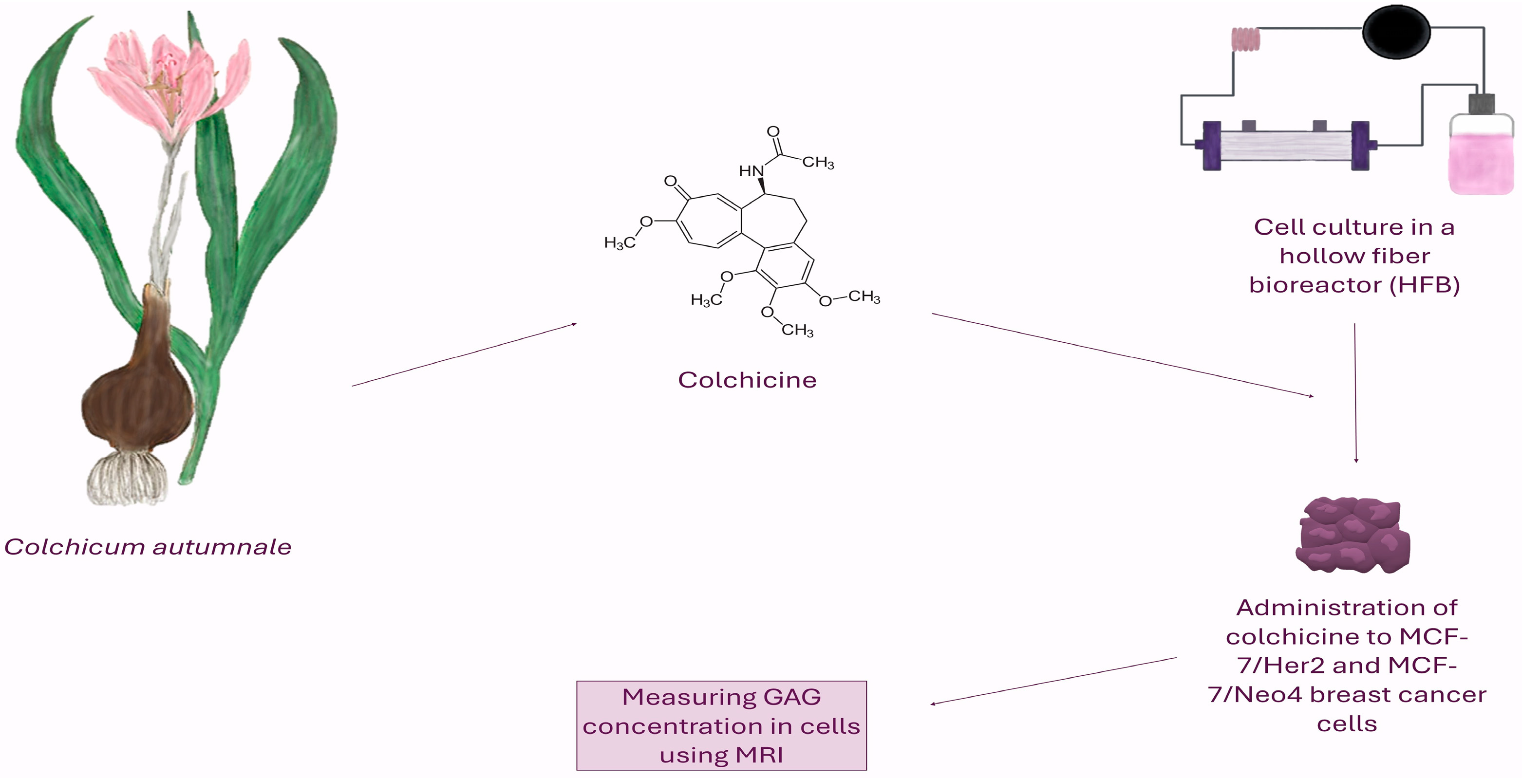 Pharmaceutics 17 01368 g002 Pharmaceutics 17 01368 g002