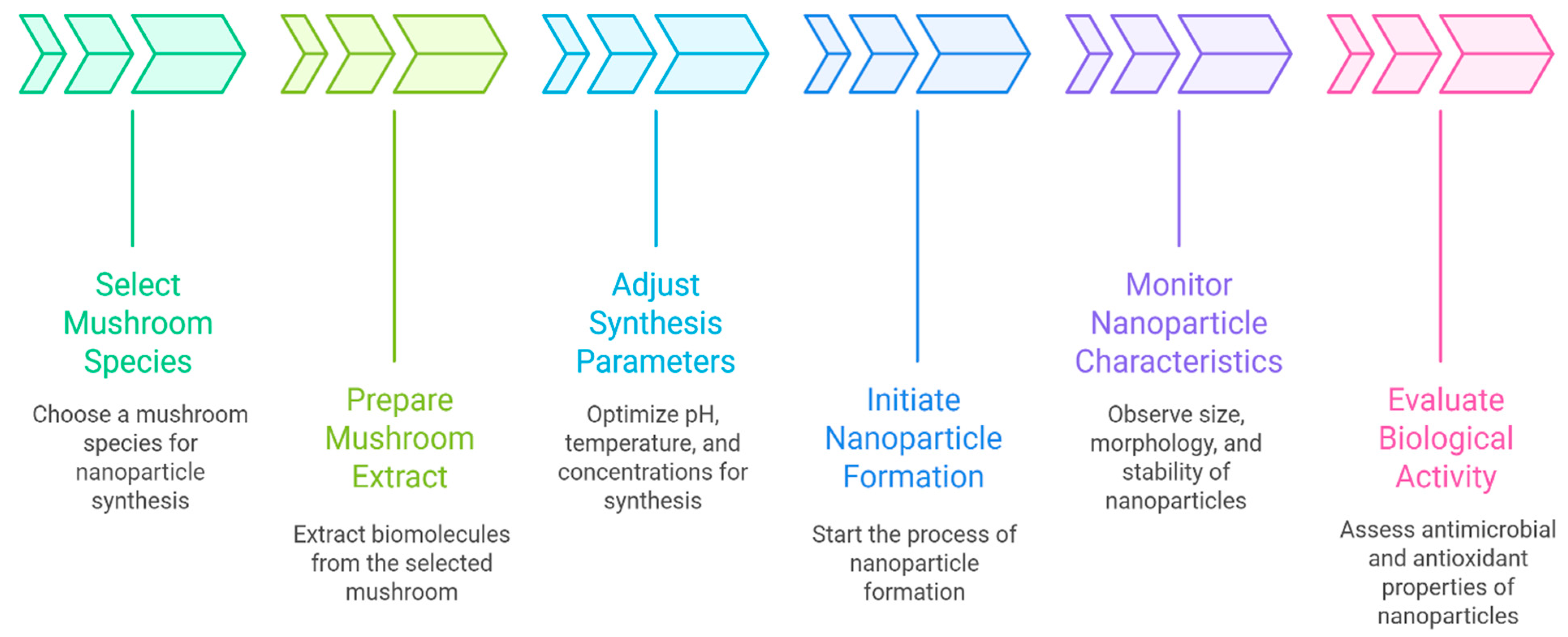 Pharmaceutics 17 01388 g003 Pharmaceutics 17 01388 g003