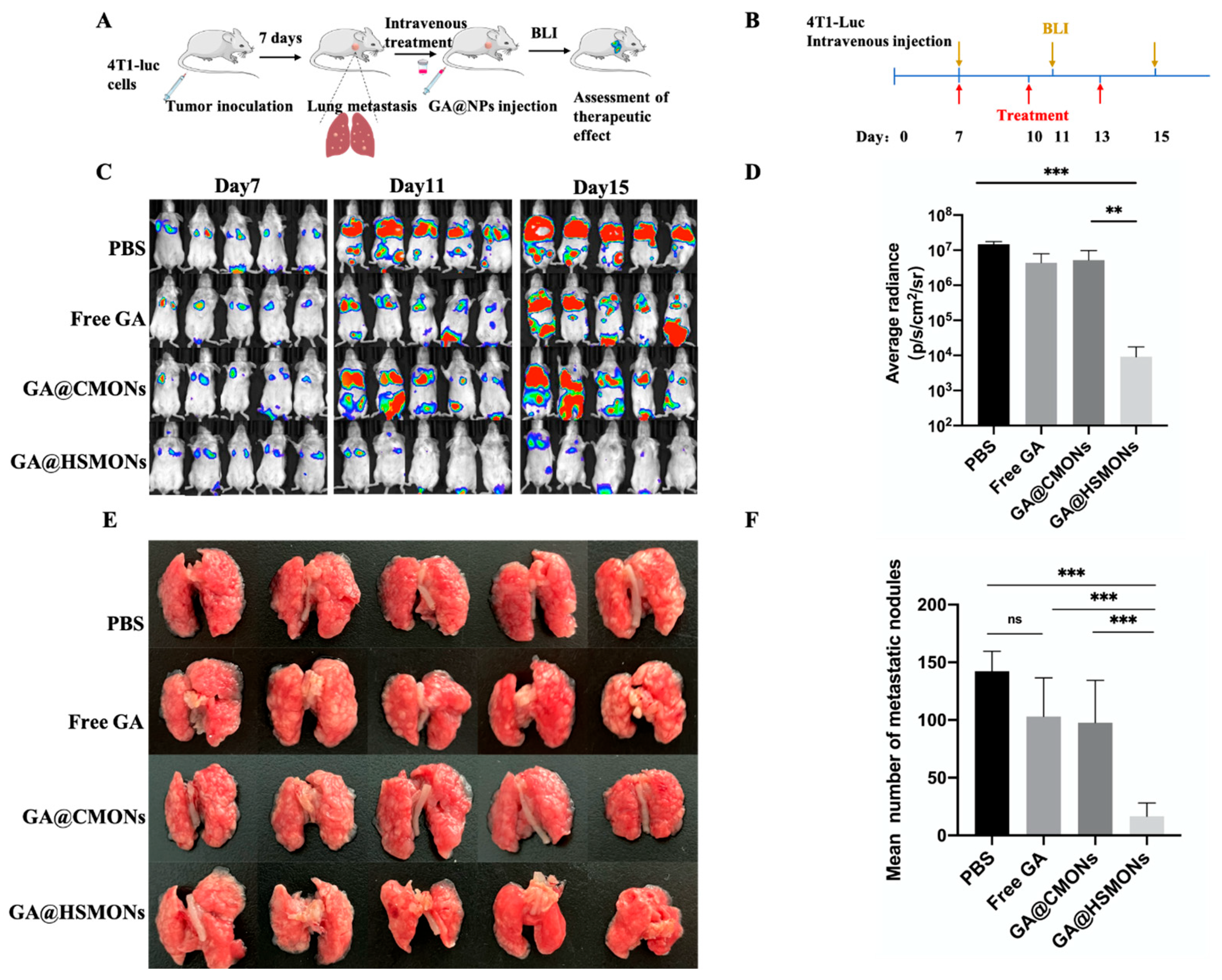 Pharmaceutics 17 01389 g004 Pharmaceutics 17 01389 g004
