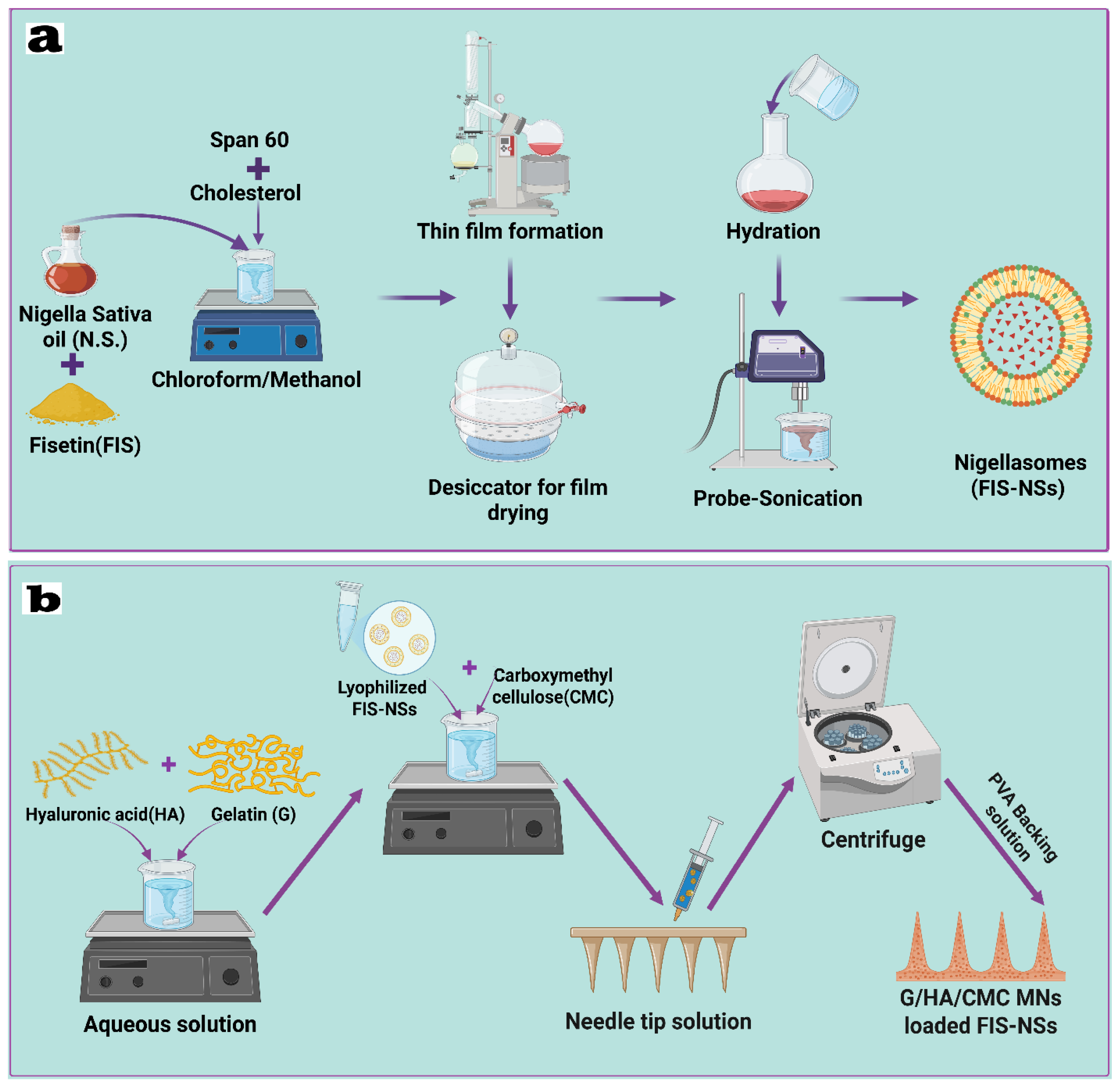 Pharmaceutics 17 01392 g001 Pharmaceutics 17 01392 g001