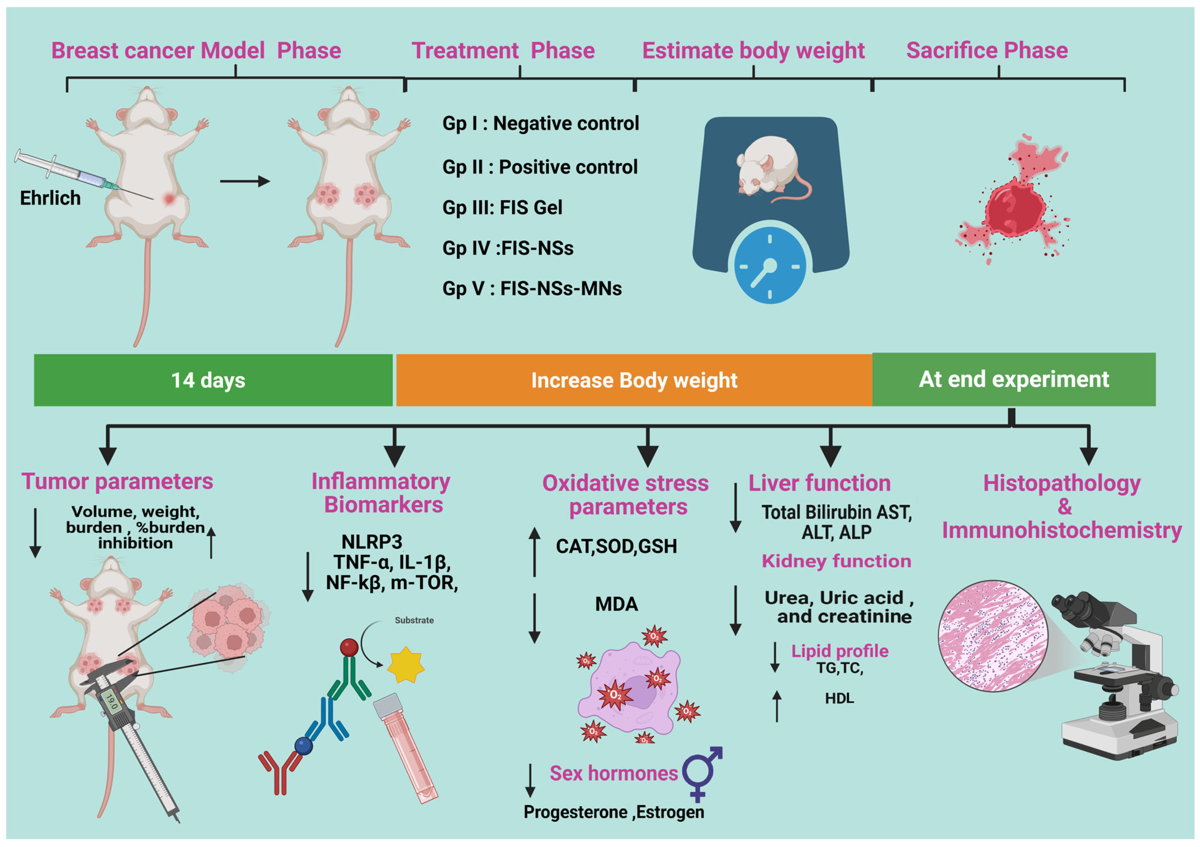 Pharmaceutics 17 01392 g002 Pharmaceutics 17 01392 g002