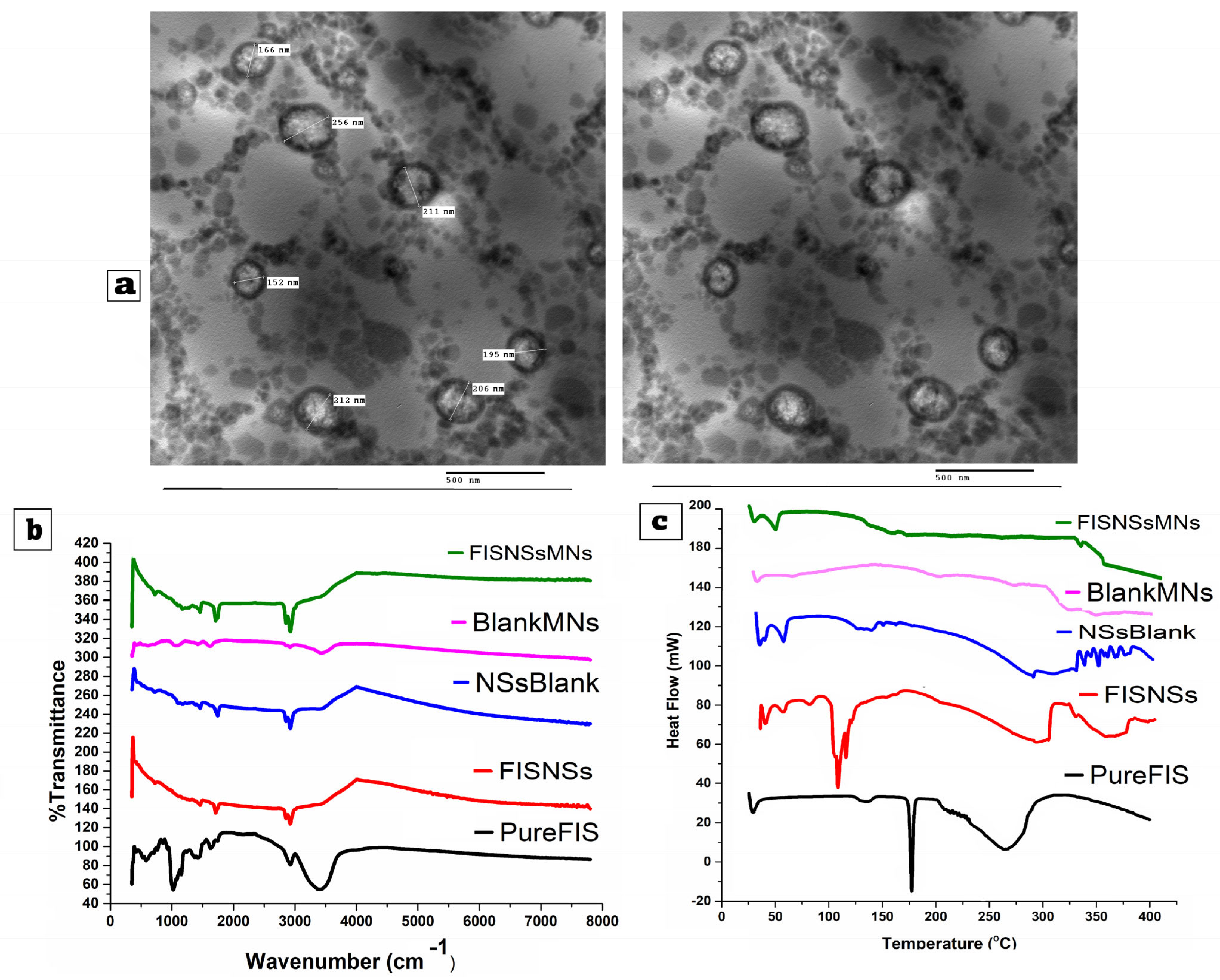 Pharmaceutics 17 01392 g005 Pharmaceutics 17 01392 g005