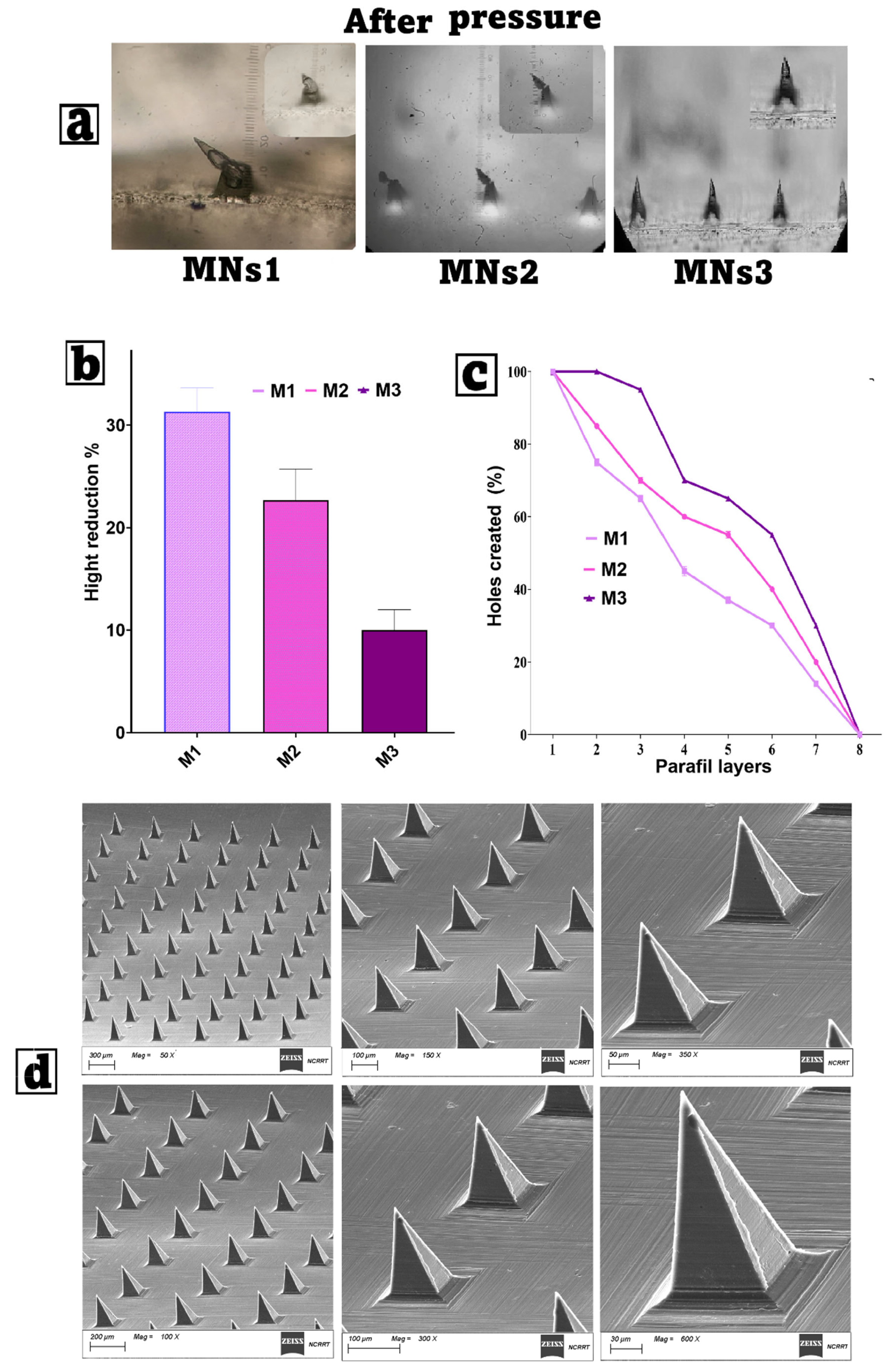 Pharmaceutics 17 01392 g006 Pharmaceutics 17 01392 g006