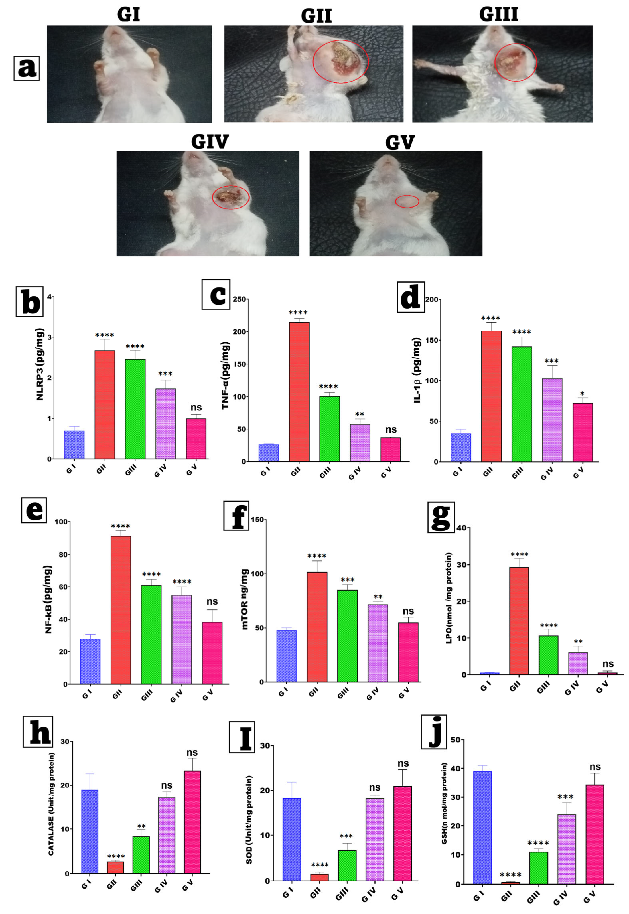 Pharmaceutics 17 01392 g008 Pharmaceutics 17 01392 g008