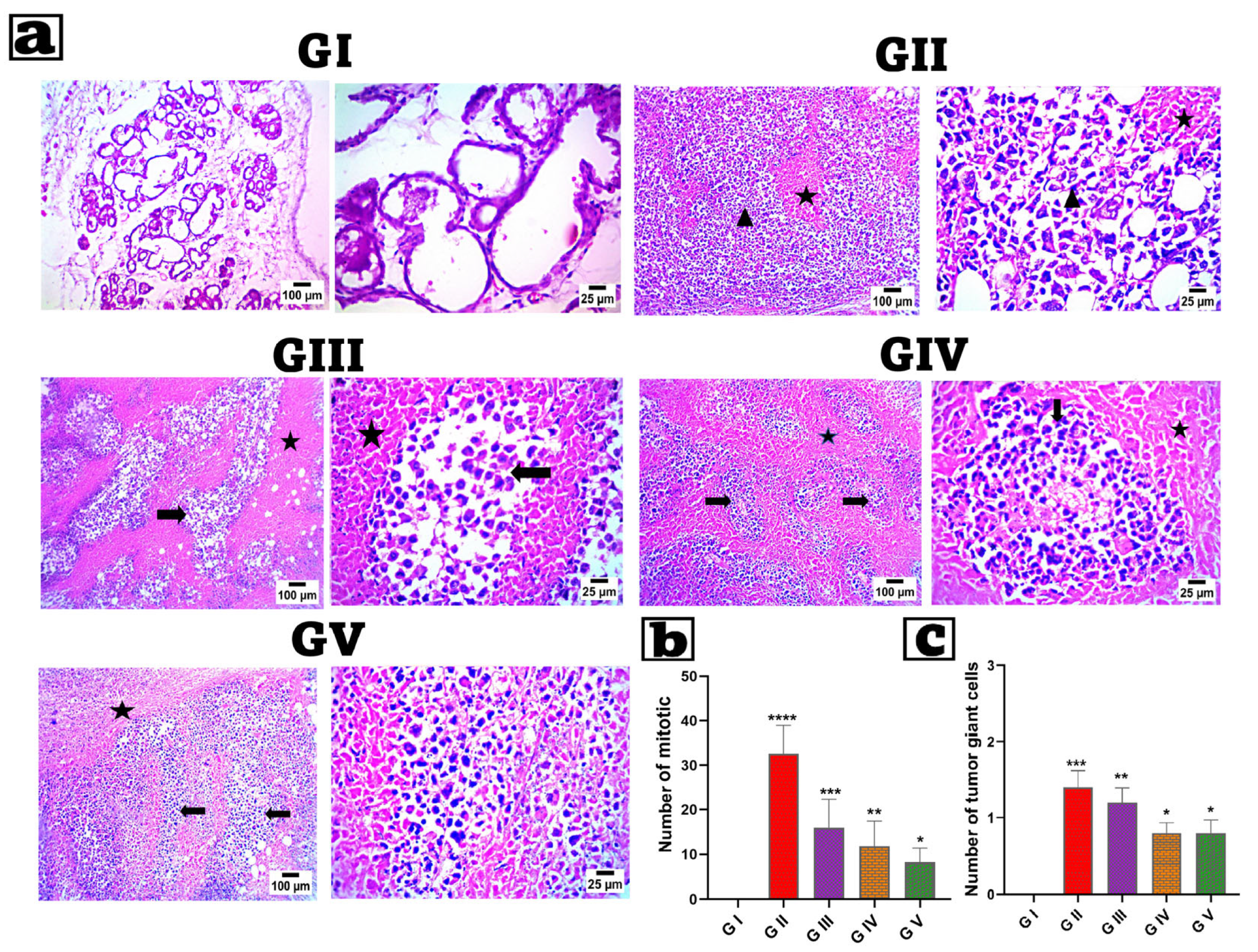 Pharmaceutics 17 01392 g009 Pharmaceutics 17 01392 g009