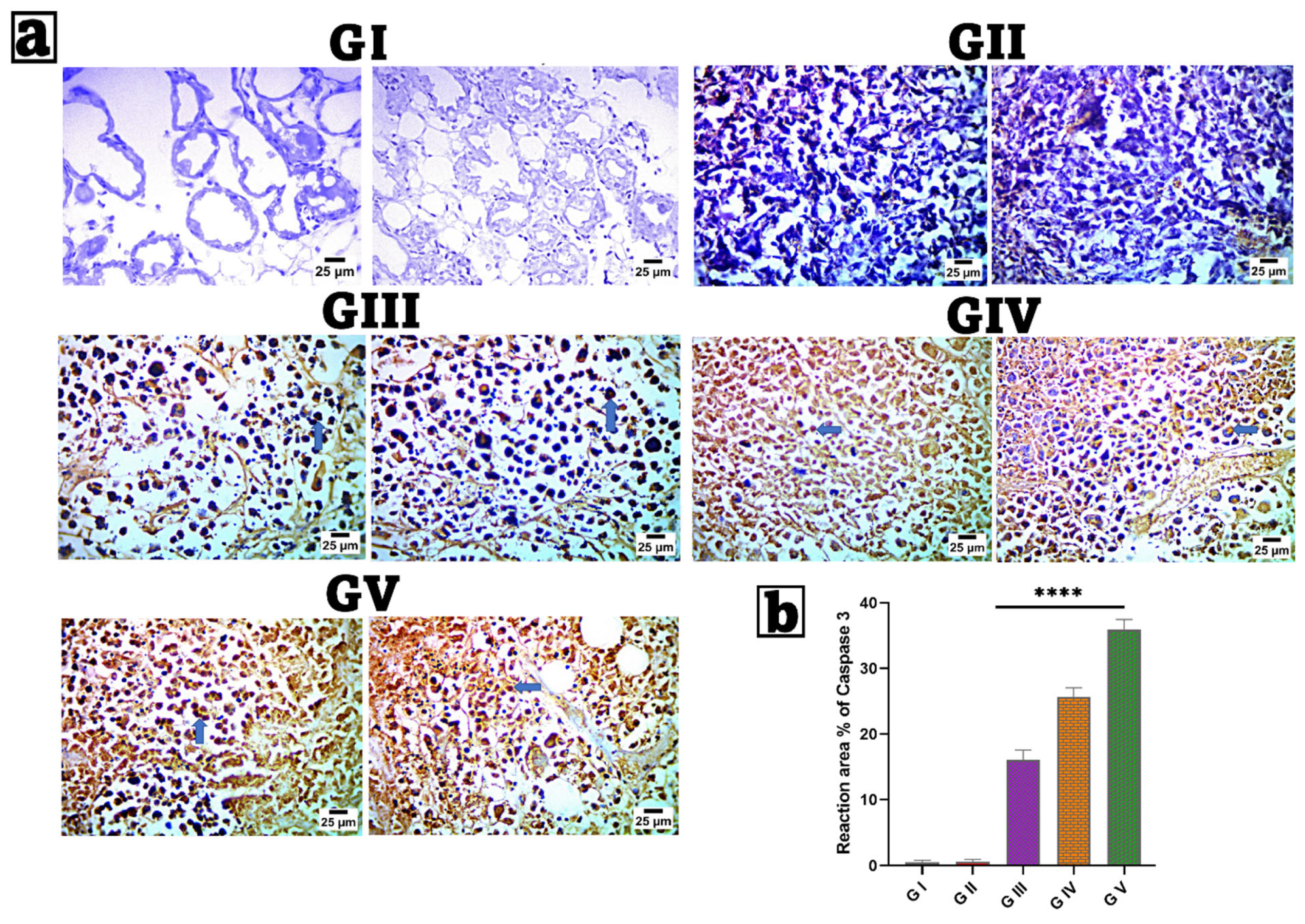 Pharmaceutics 17 01392 g010 Pharmaceutics 17 01392 g010
