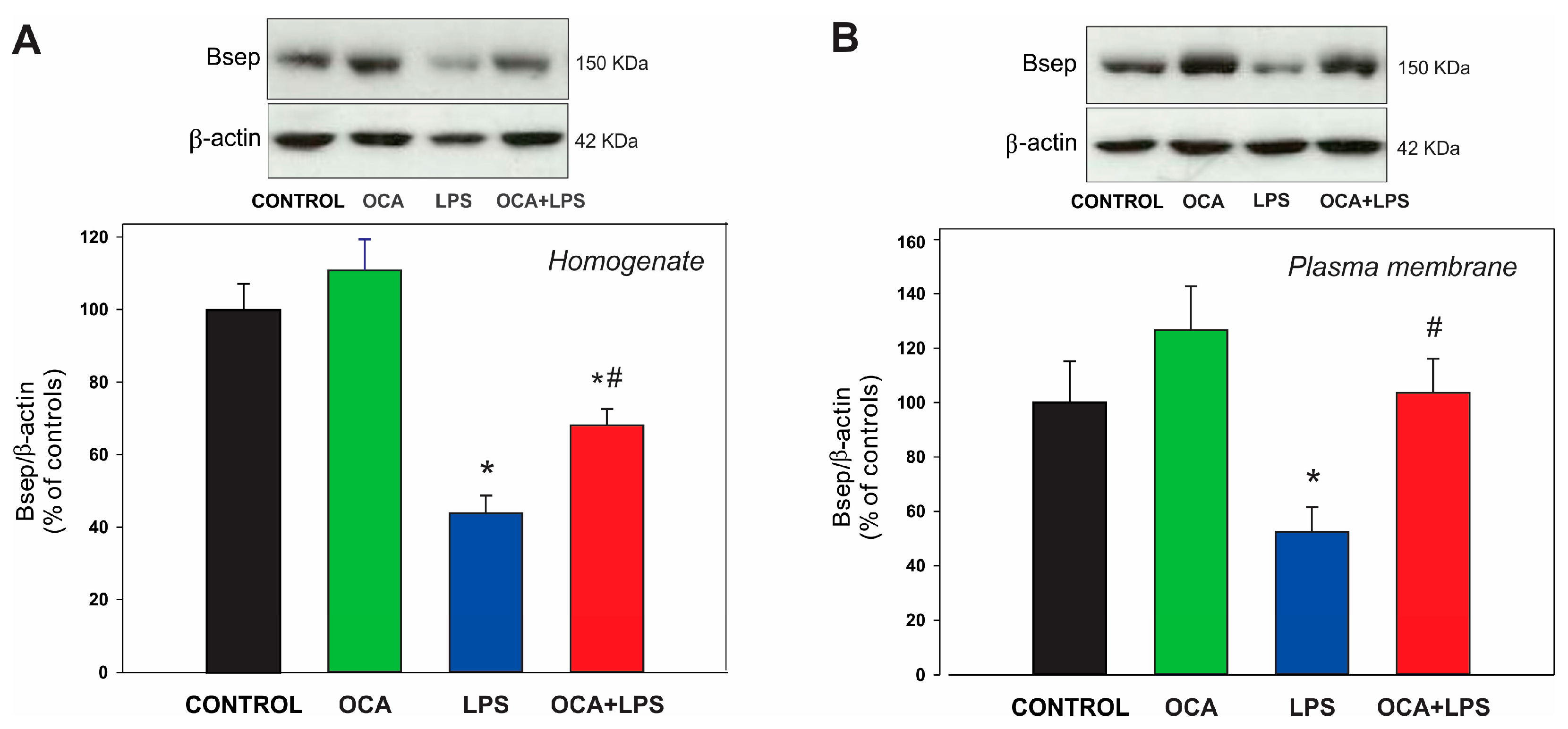 Pharmaceutics 17 01393 g003 Pharmaceutics 17 01393 g003