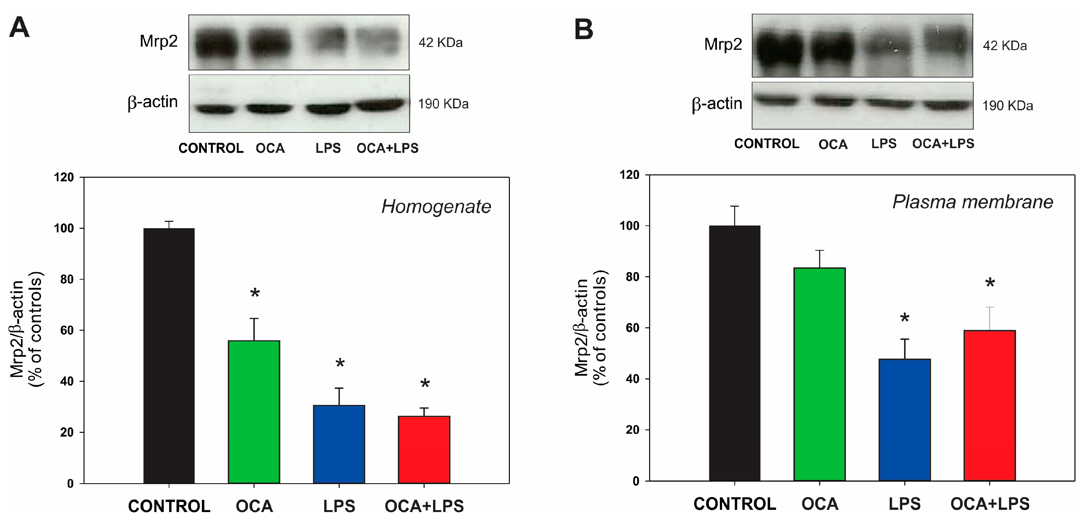Pharmaceutics 17 01393 g004 Pharmaceutics 17 01393 g004