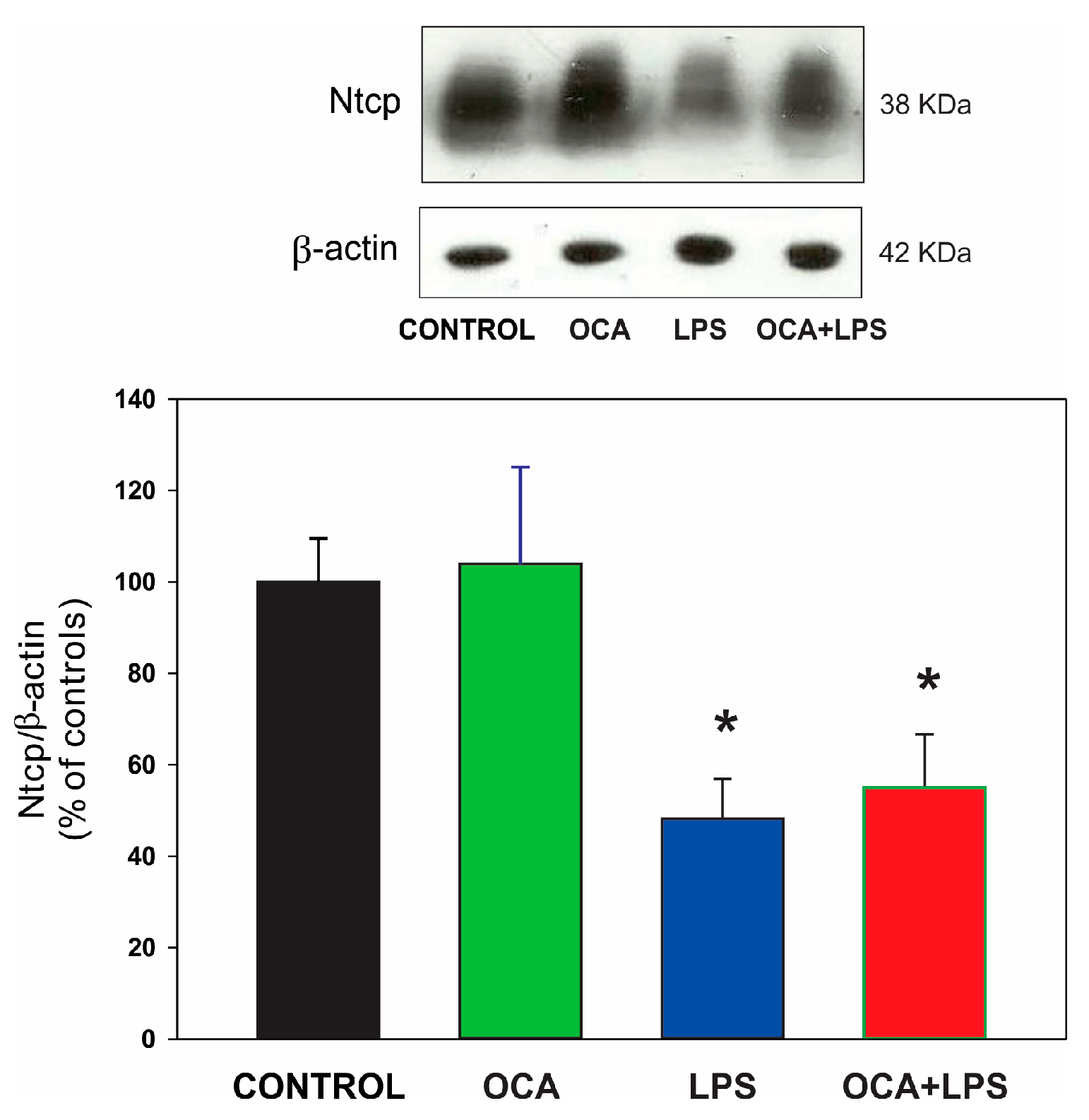Pharmaceutics 17 01393 g005 Pharmaceutics 17 01393 g005