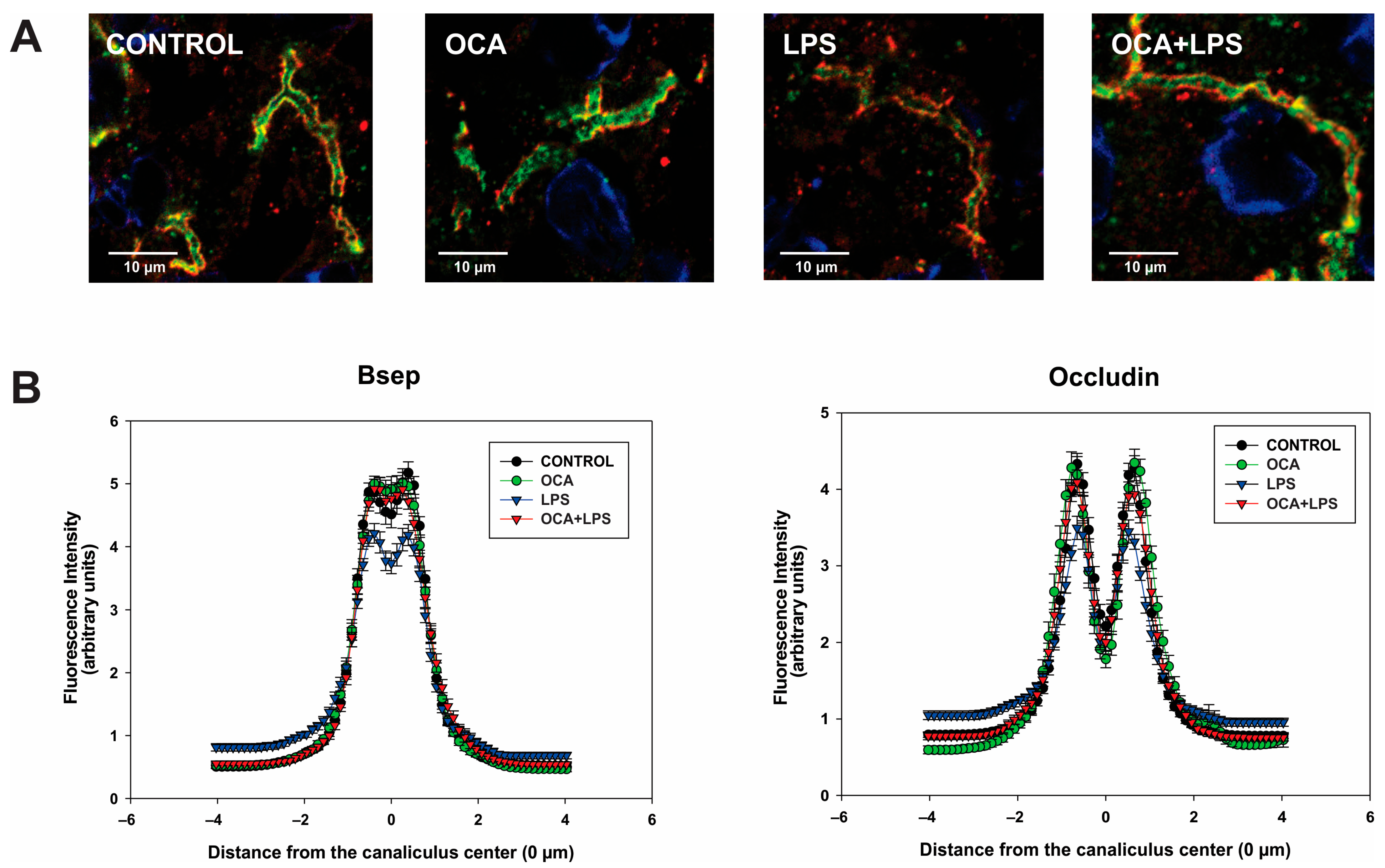 Pharmaceutics 17 01393 g006 Pharmaceutics 17 01393 g006