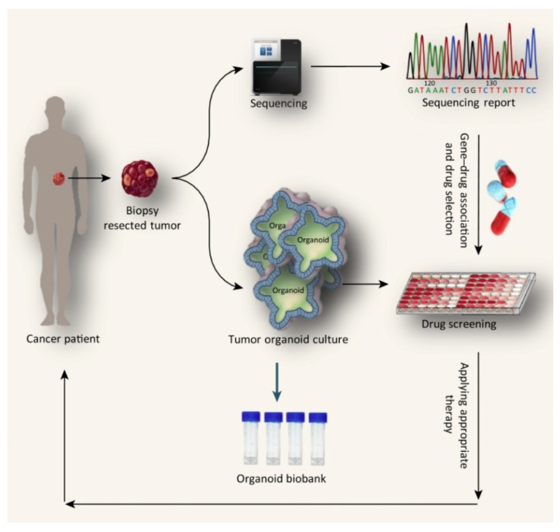 Pharmaceutics 17 01396 g003 Pharmaceutics 17 01396 g003