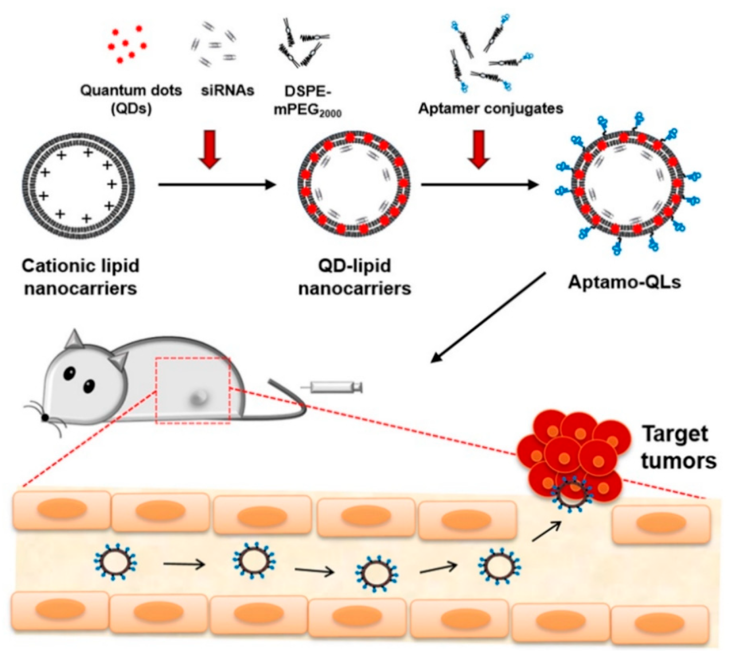 Pharmaceutics 17 01396 g006 Pharmaceutics 17 01396 g006