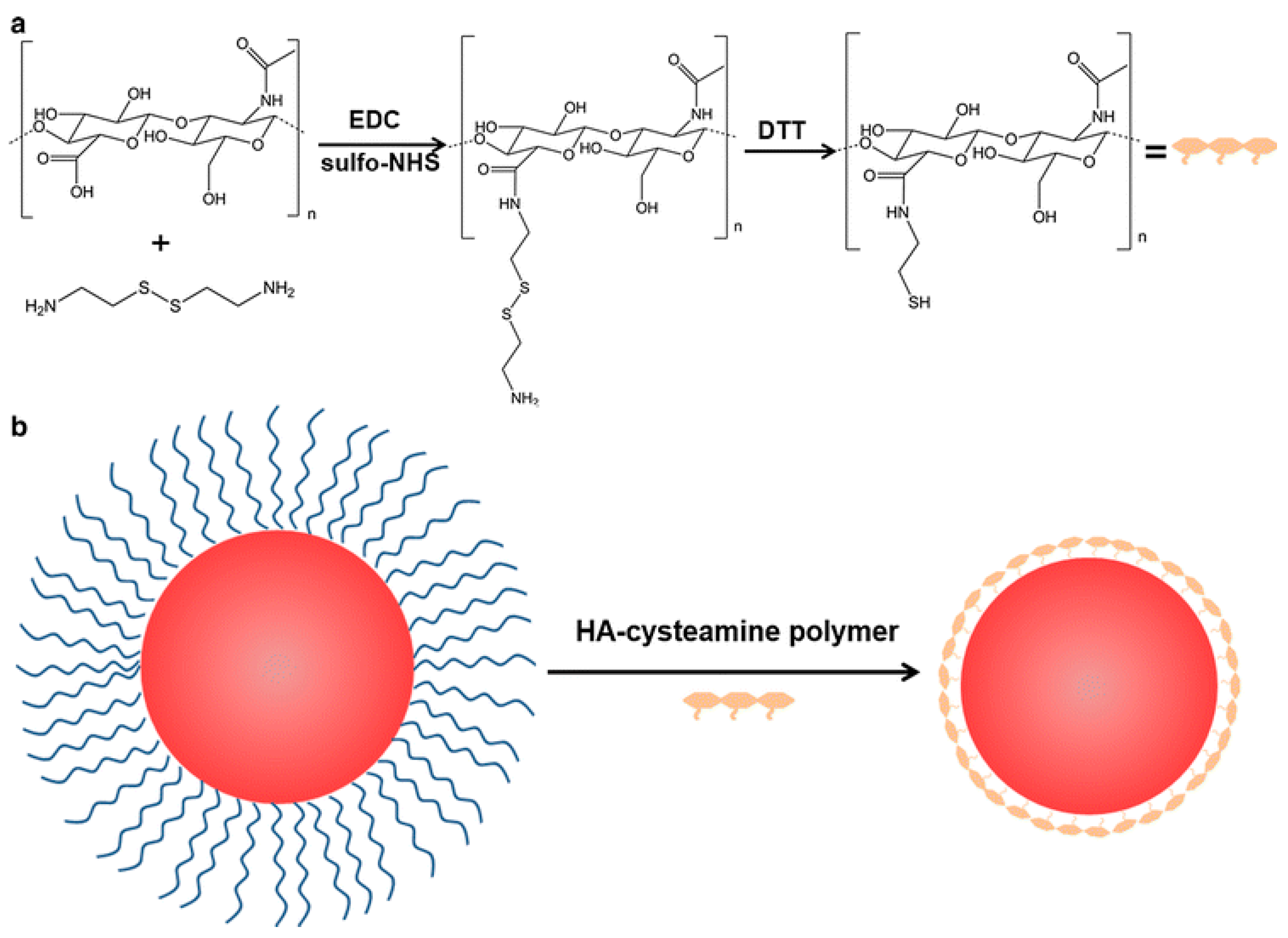 Pharmaceutics 17 01396 g007 Pharmaceutics 17 01396 g007