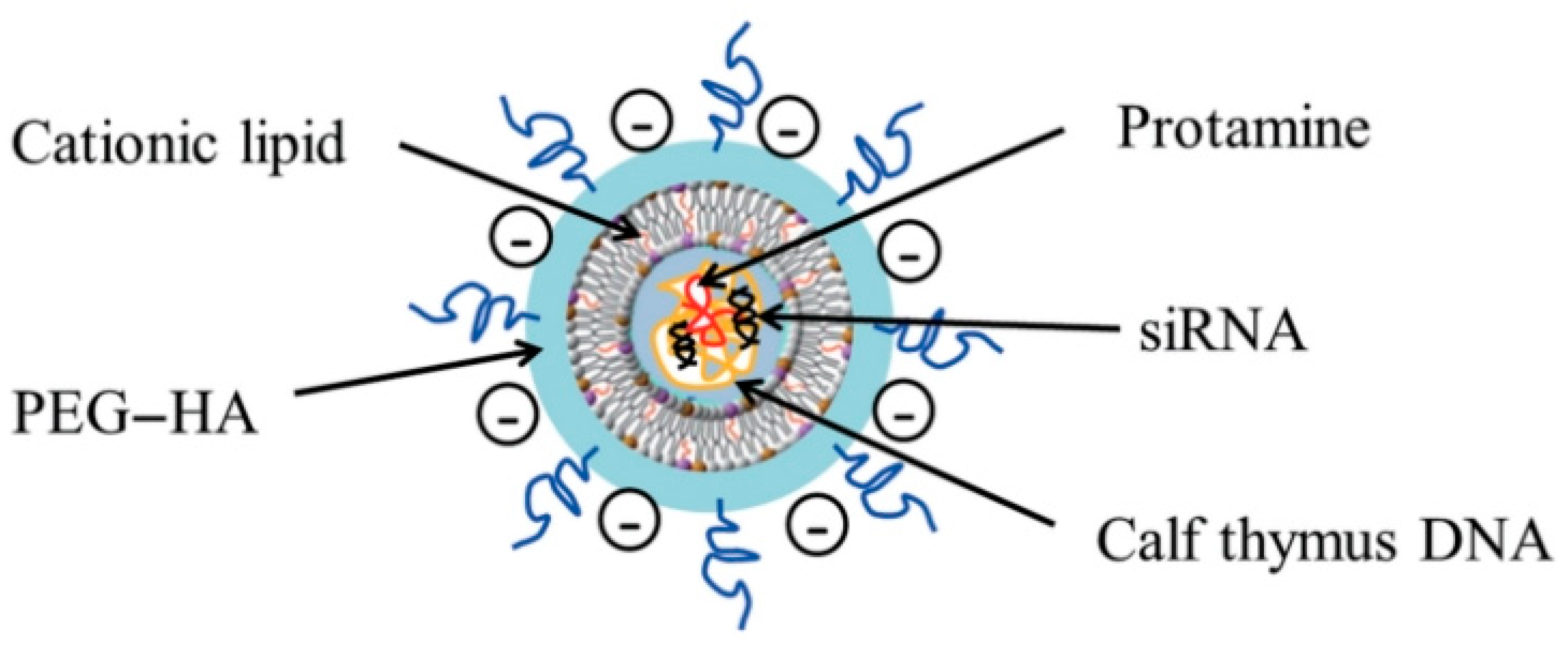 Pharmaceutics 17 01396 g008 Pharmaceutics 17 01396 g008