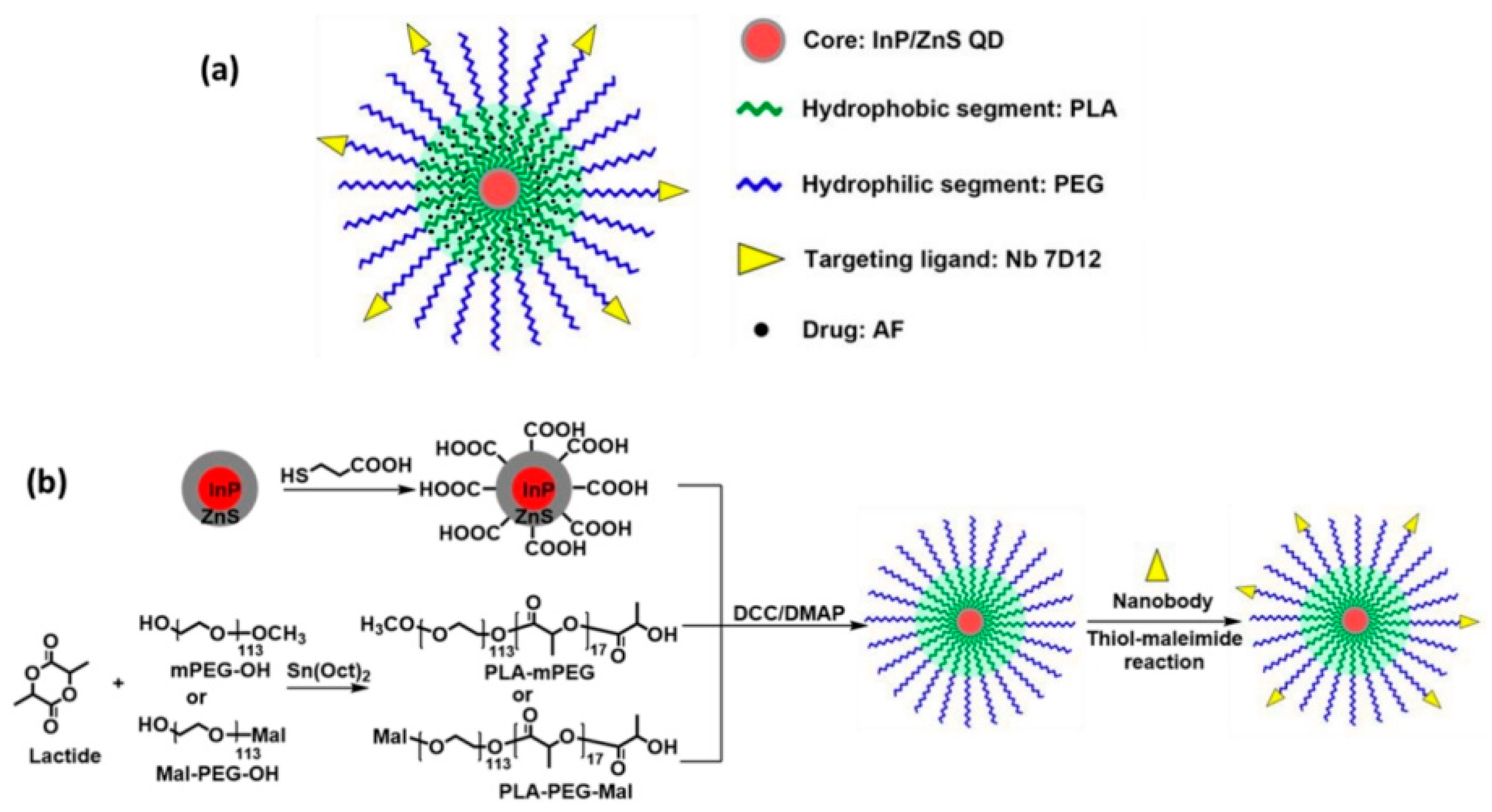 Pharmaceutics 17 01396 g009 Pharmaceutics 17 01396 g009