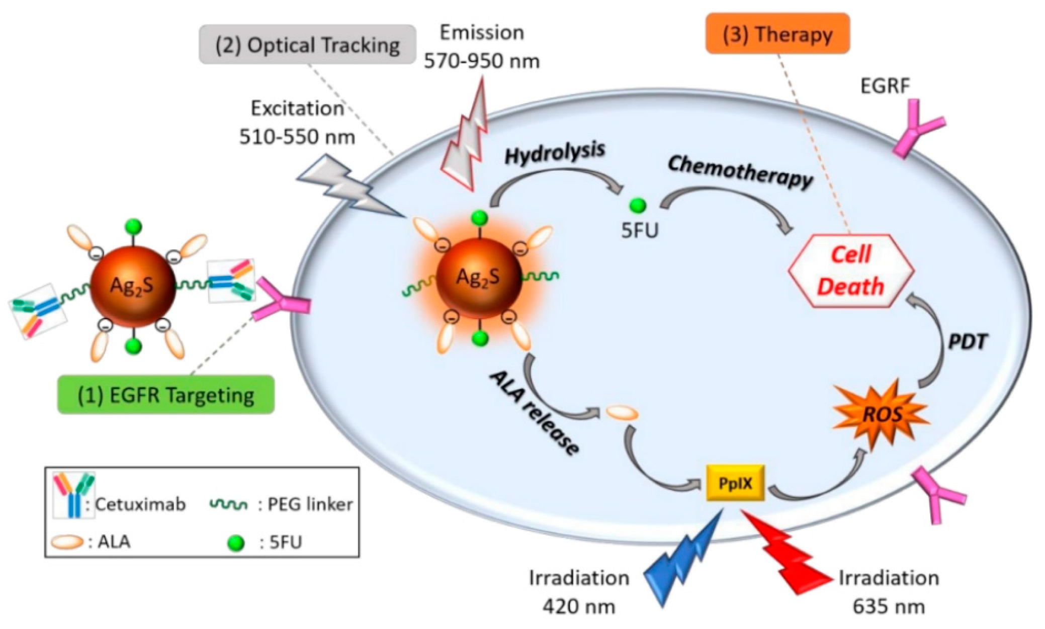 Pharmaceutics 17 01396 g010 Pharmaceutics 17 01396 g010