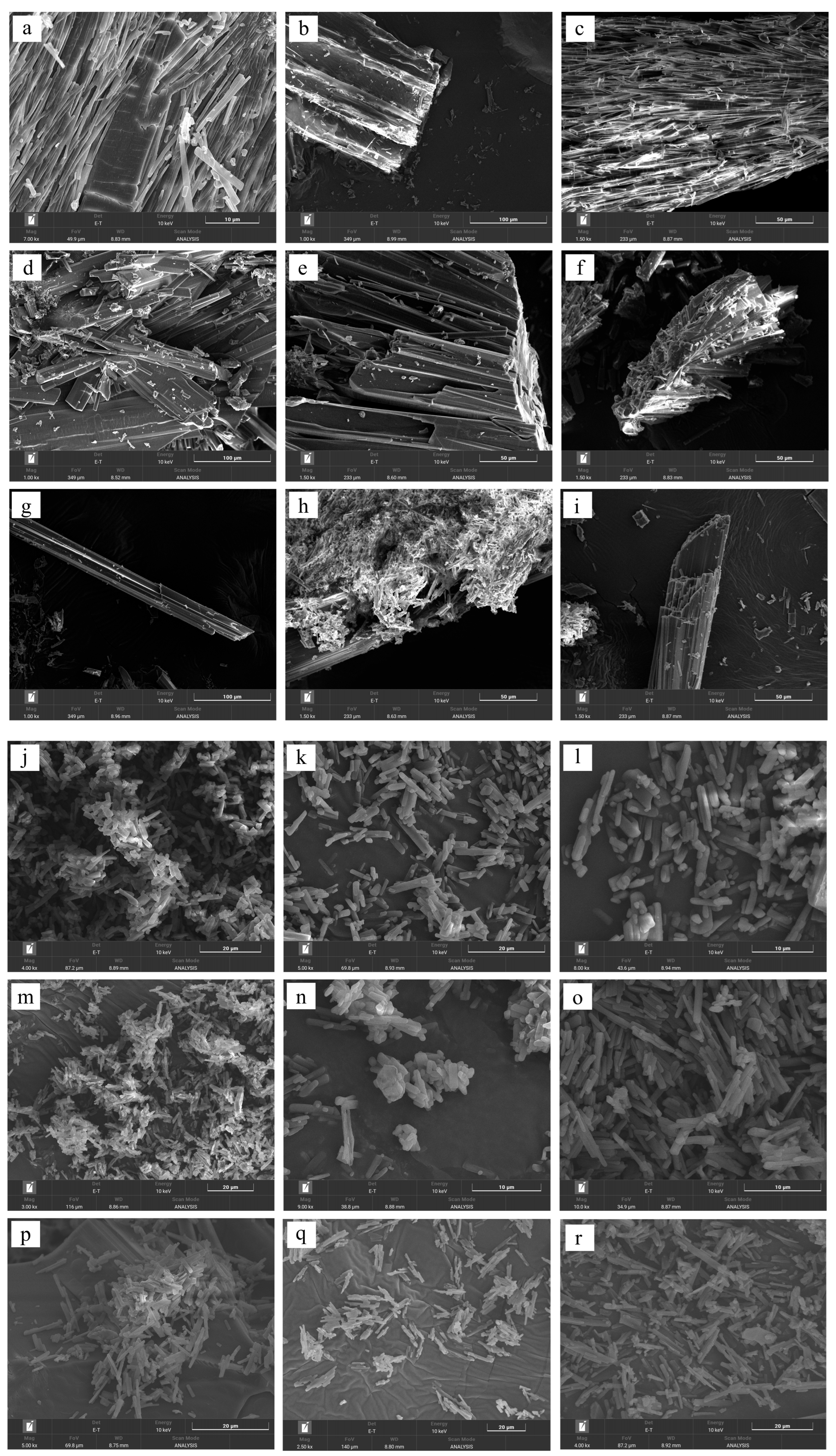 Pharmaceutics 17 01399 g008