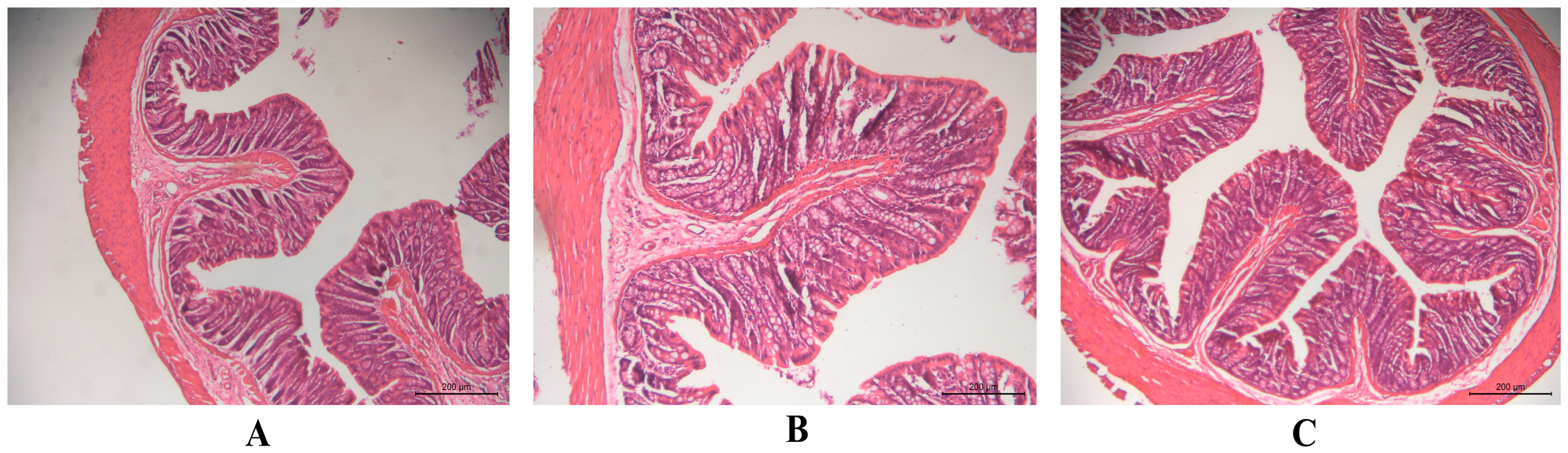 Pharmaceutics 17 01400 g006 Pharmaceutics 17 01400 g006