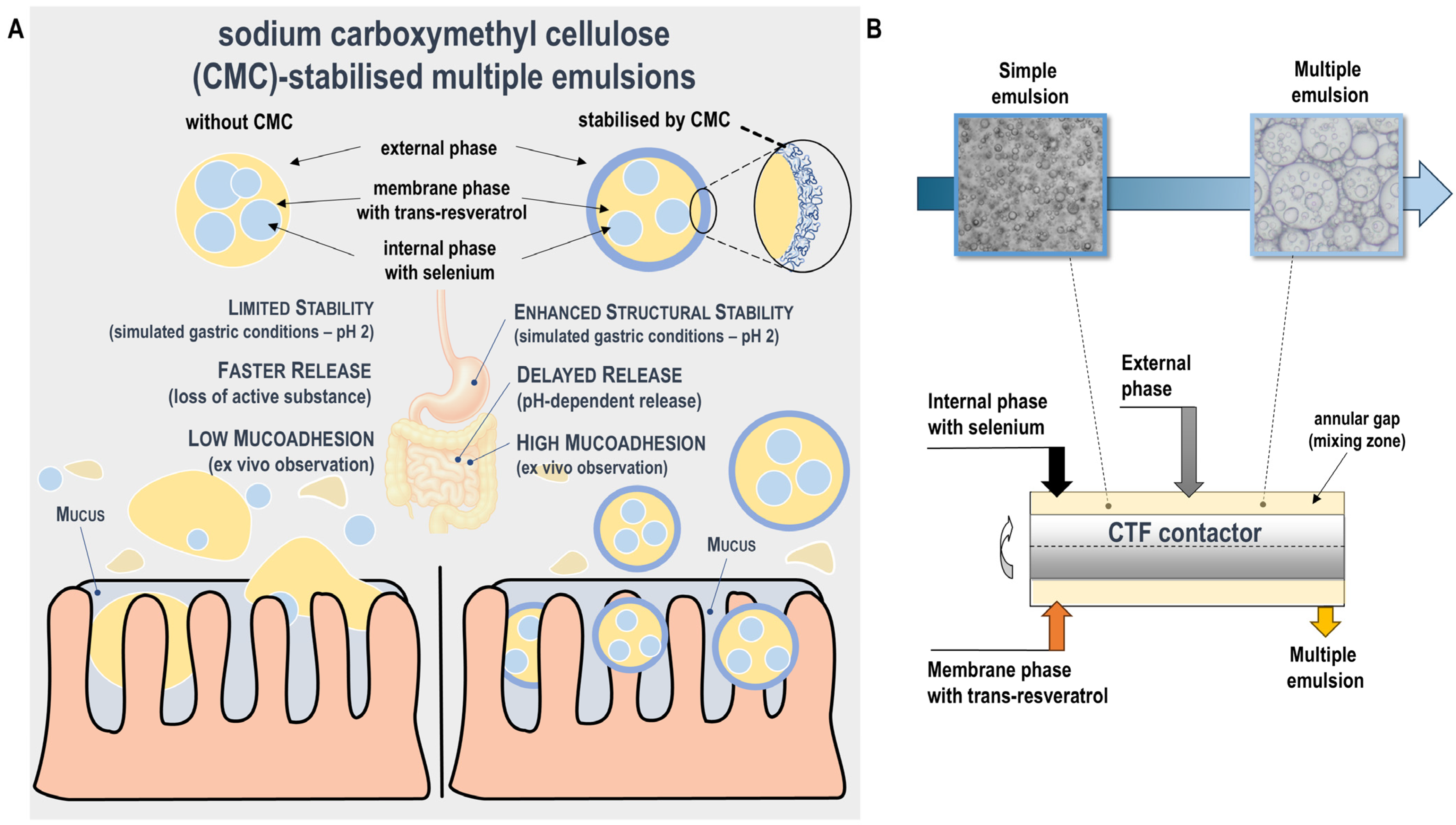 Pharmaceutics 17 01401 g001 Pharmaceutics 17 01401 g001