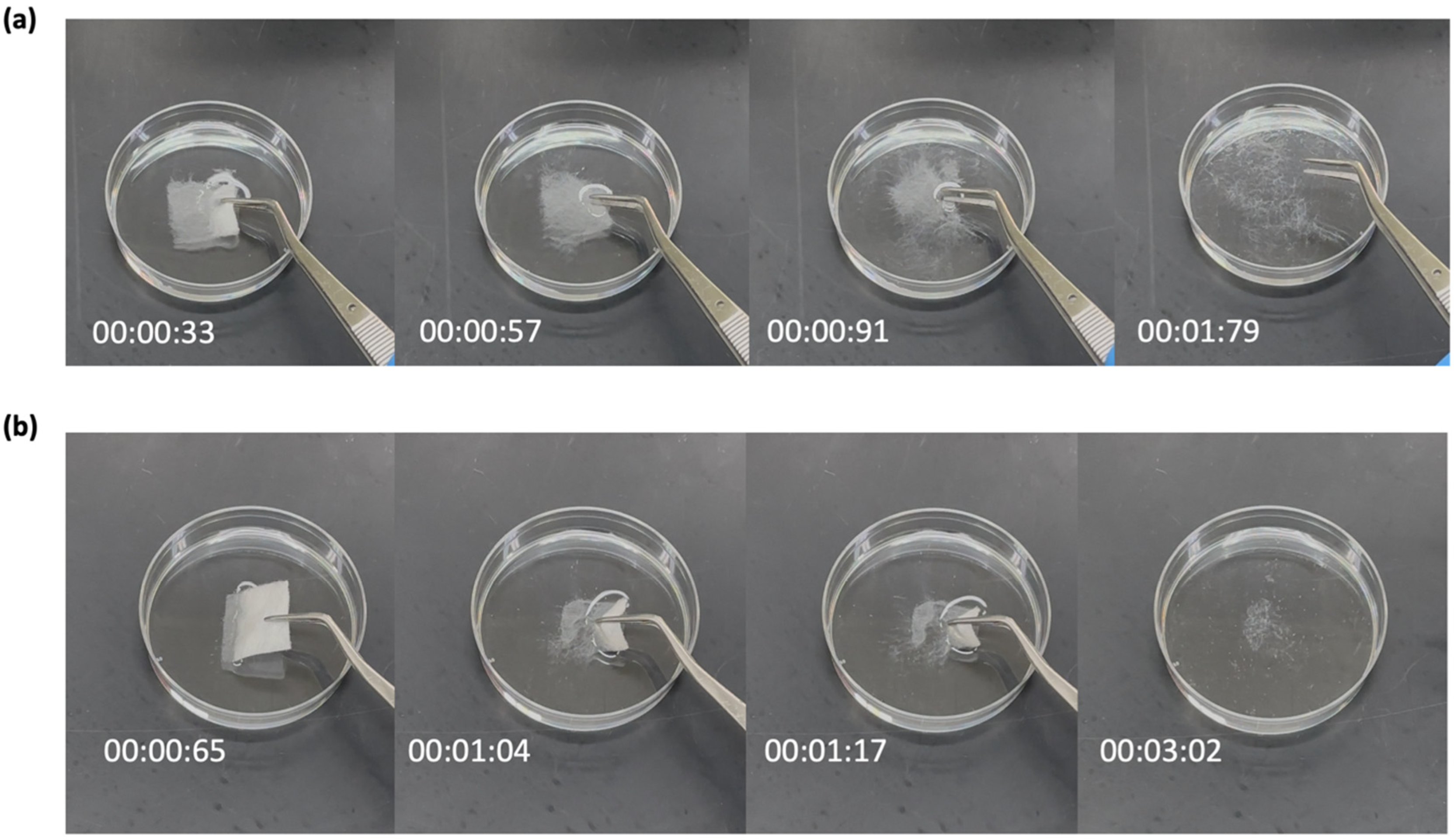 Pharmaceutics 17 01403 g003 Pharmaceutics 17 01403 g003