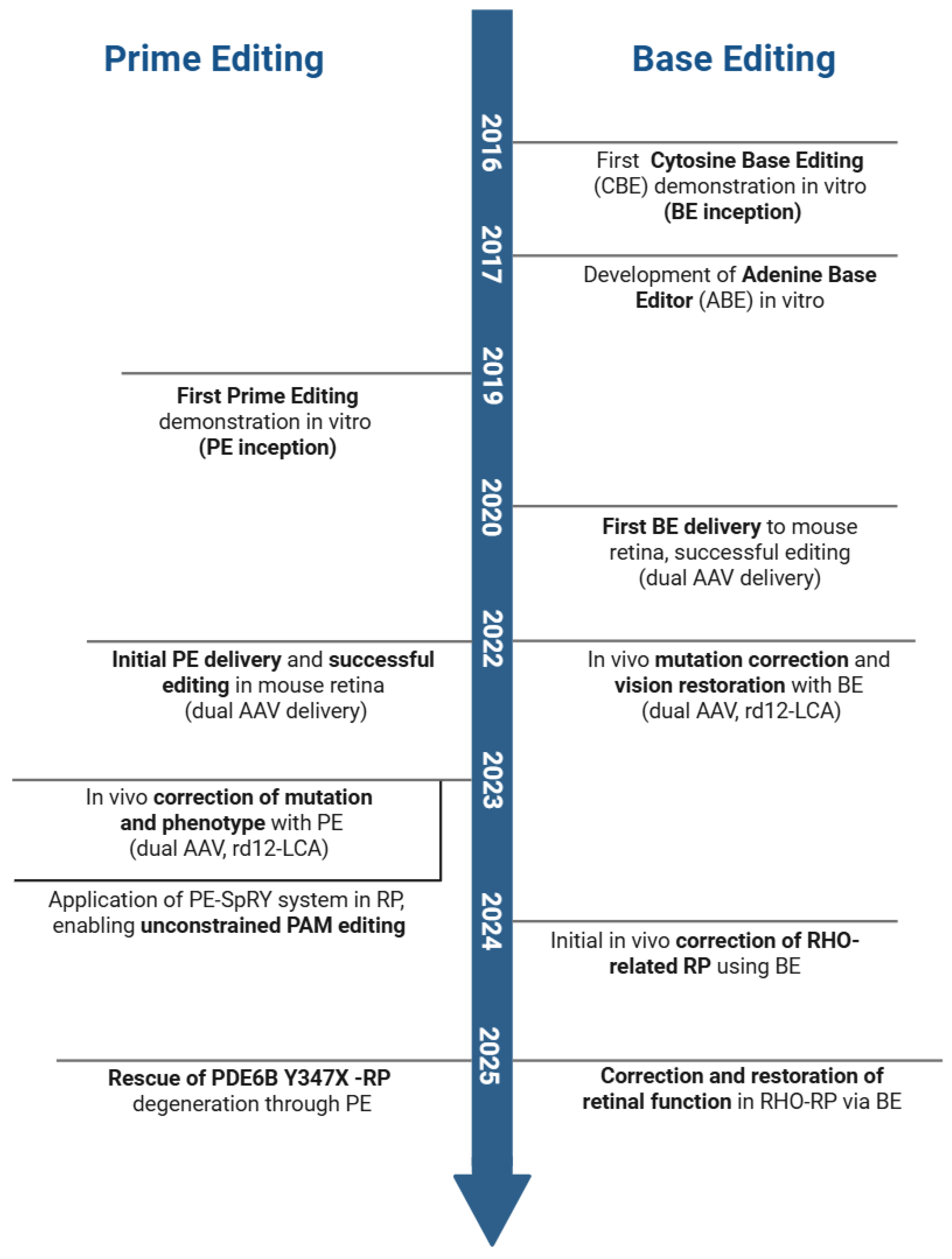 Pharmaceutics 17 01405 g002 Pharmaceutics 17 01405 g002
