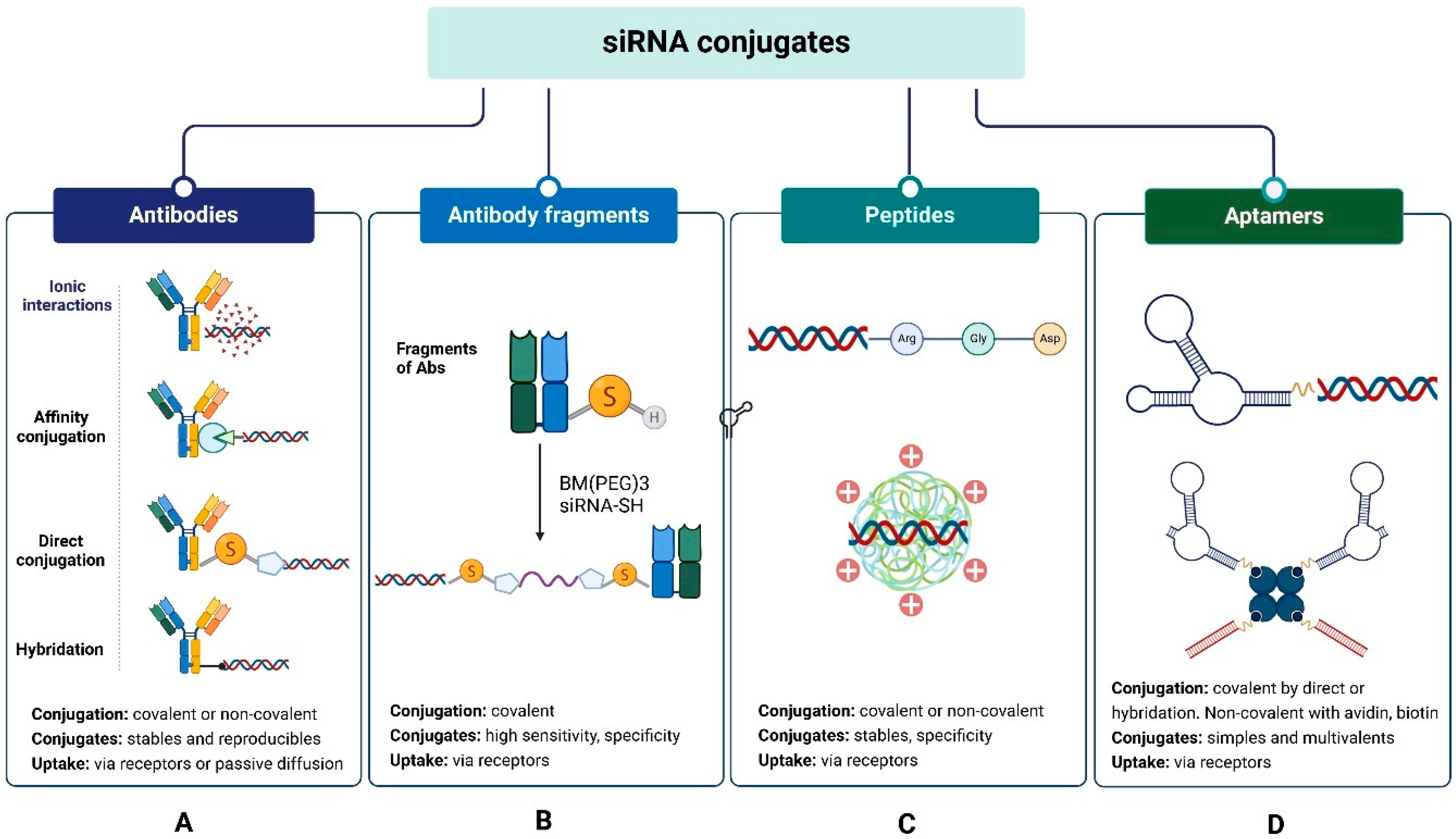 Small Interfering RNA Carriers for Oncotherapy: A Preclinical Overview