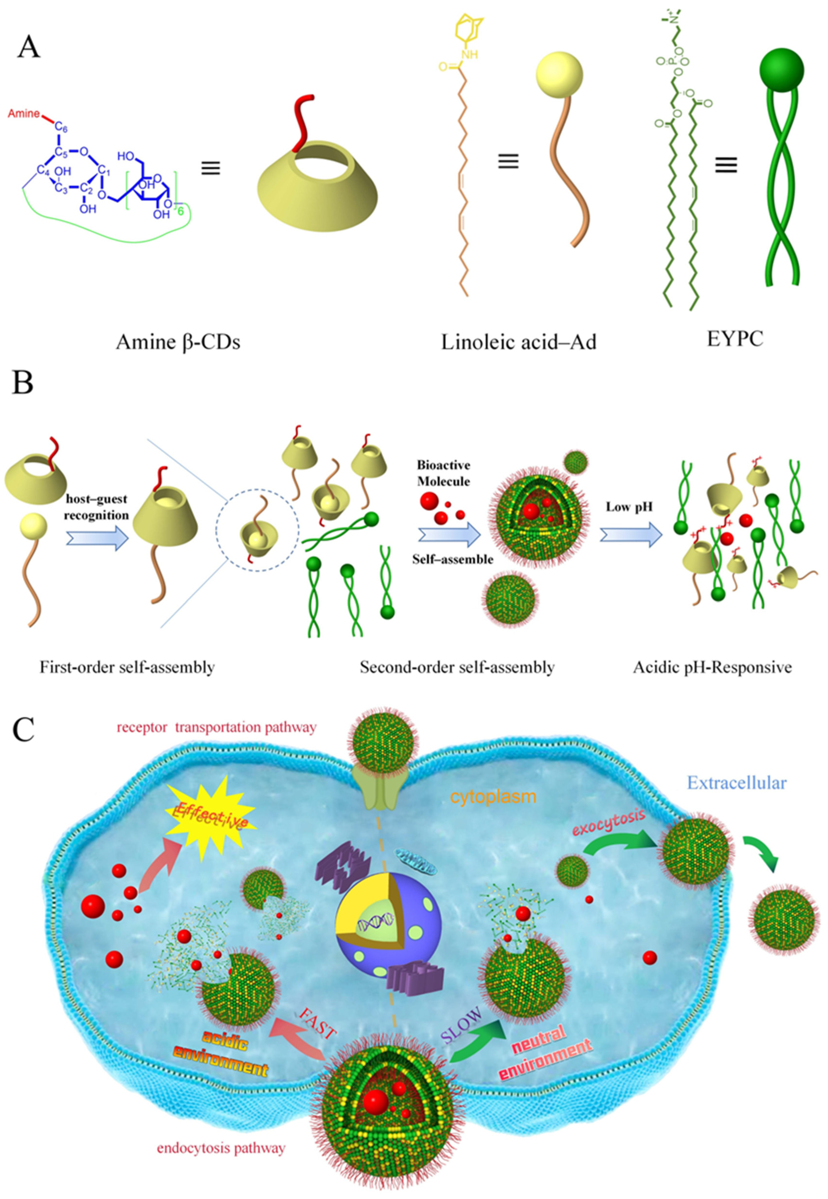 Pharmaceutics 17 01410 sch001