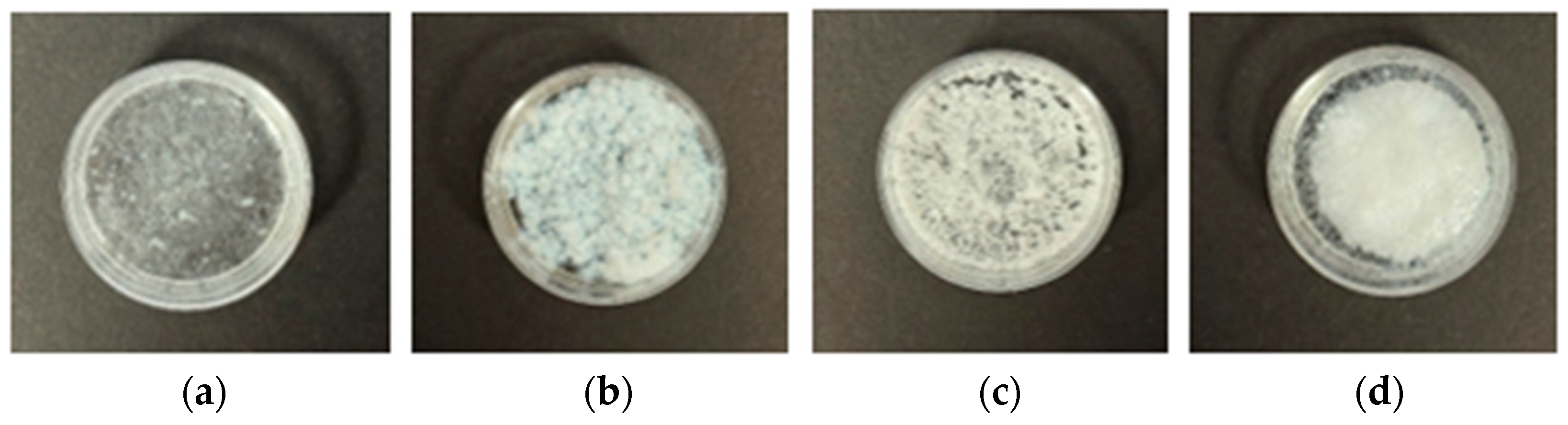 Pharmaceutics 17 01411 g003 Pharmaceutics 17 01411 g003